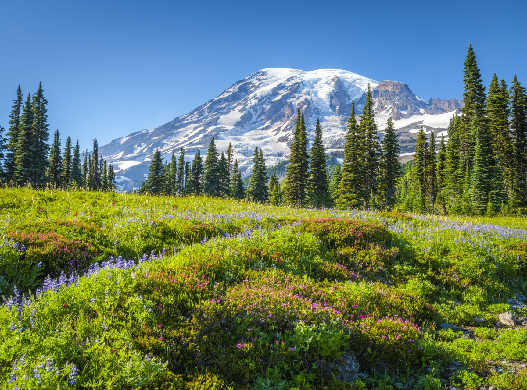 位于美国华盛顿州的雷尼尔山国家公园是一个被山脉和森林环绕的宝石.