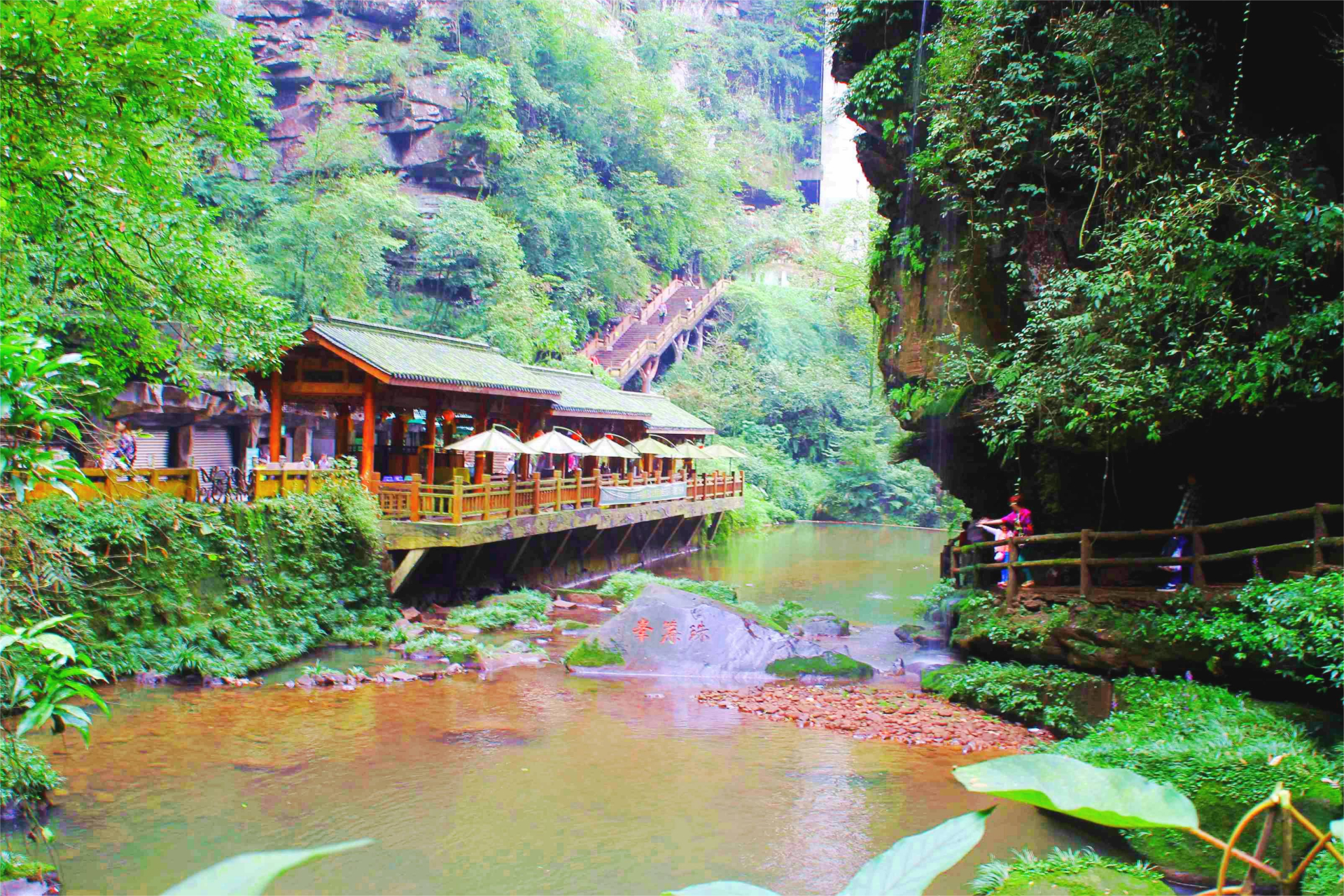 雅安碧峰峡:植被,瀑布,峡景,云海是让你爱上碧峰峡的四大天然美景