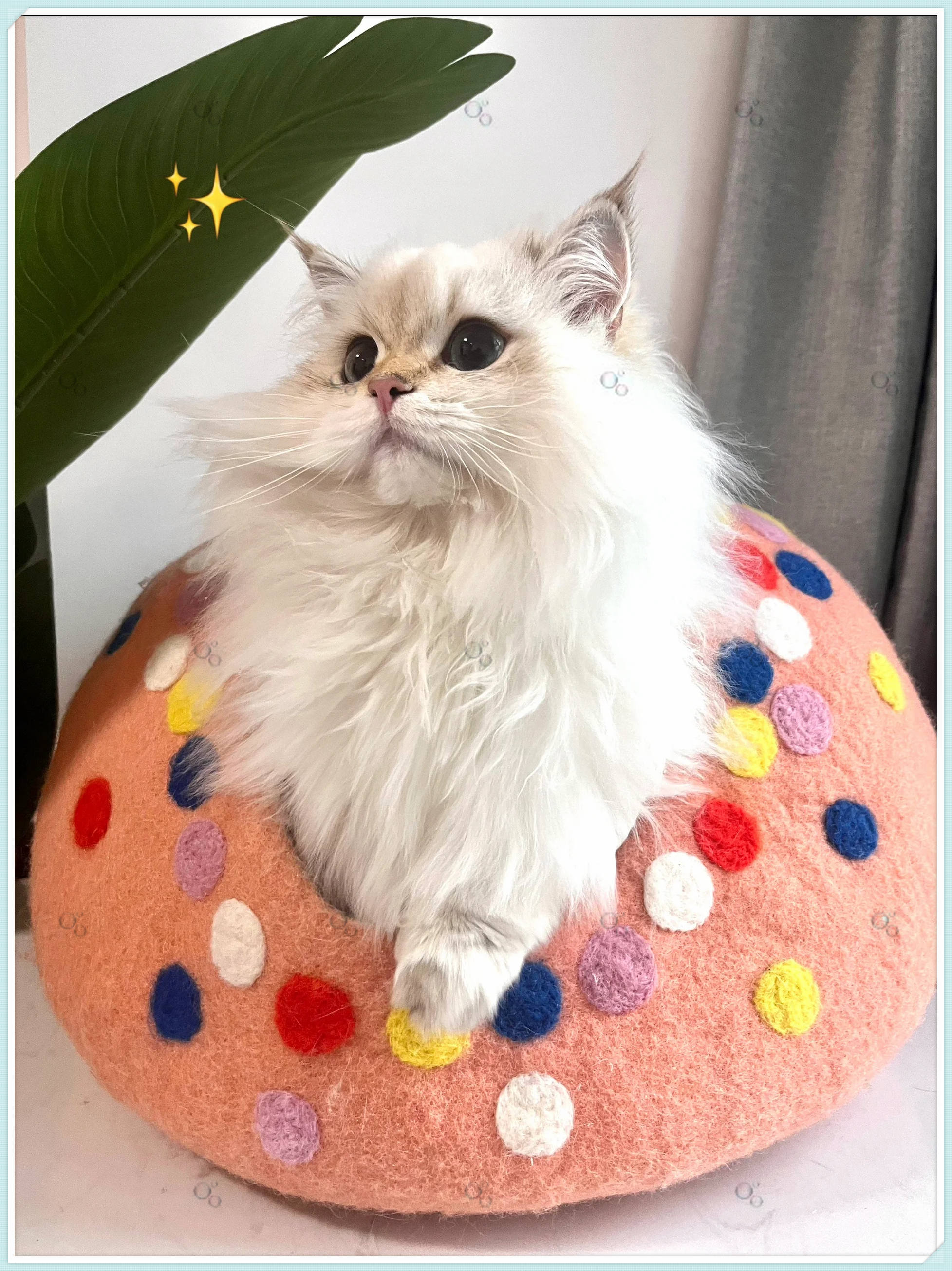 羊毛质感绝对物超所值,质感满满的,洞穴造型吸引着小猫咪一探究竟