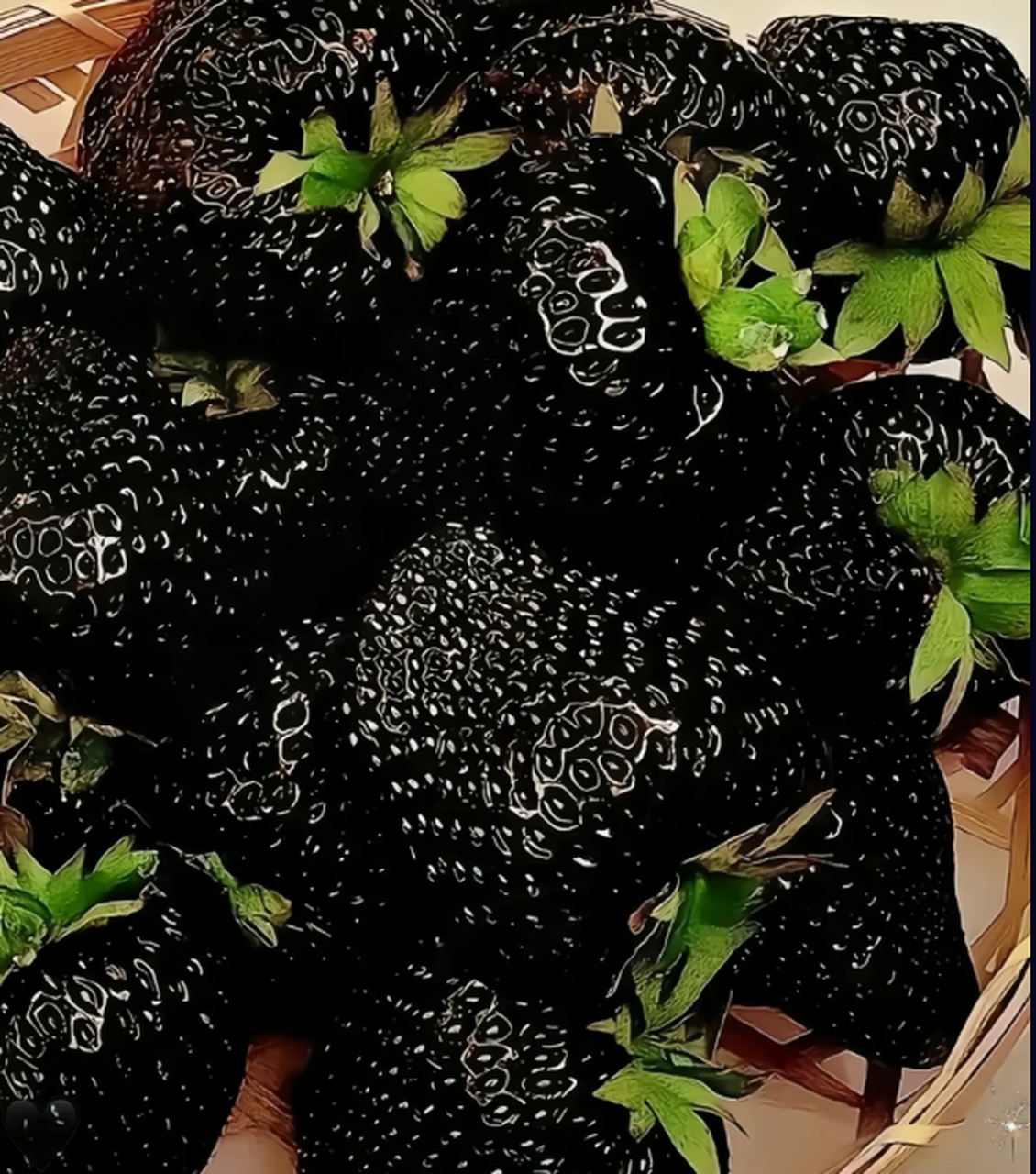 哪里的品种啊?草莓竟然还有黑色的?