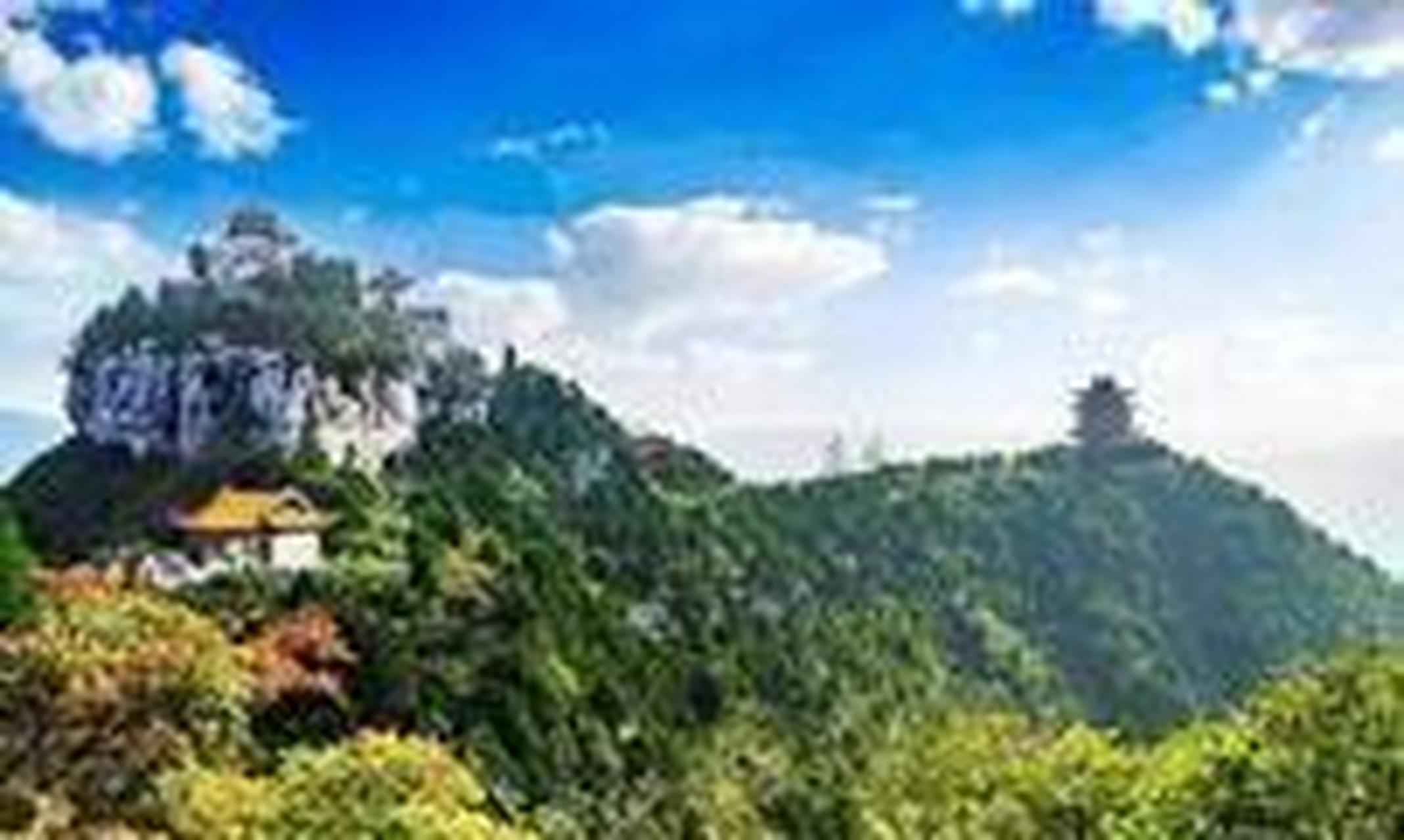 20亿元,临汾gdp为1161.1亿元 【2020年】晋城gdp为1425.