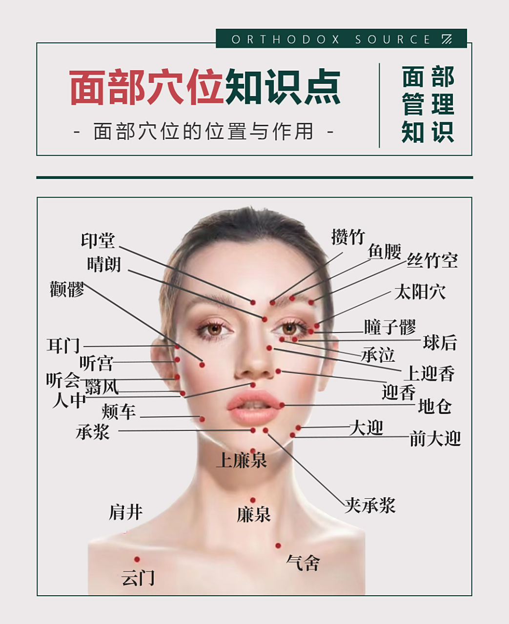 正本承源# 皮肤管理师一定要熟悉面部穴位,只有完全掌握穴位的位置与