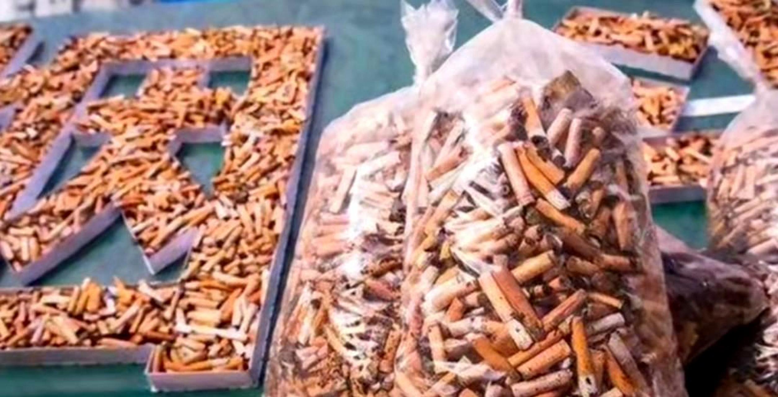 有人大量回收烟头,是因为它们还有其他用途.