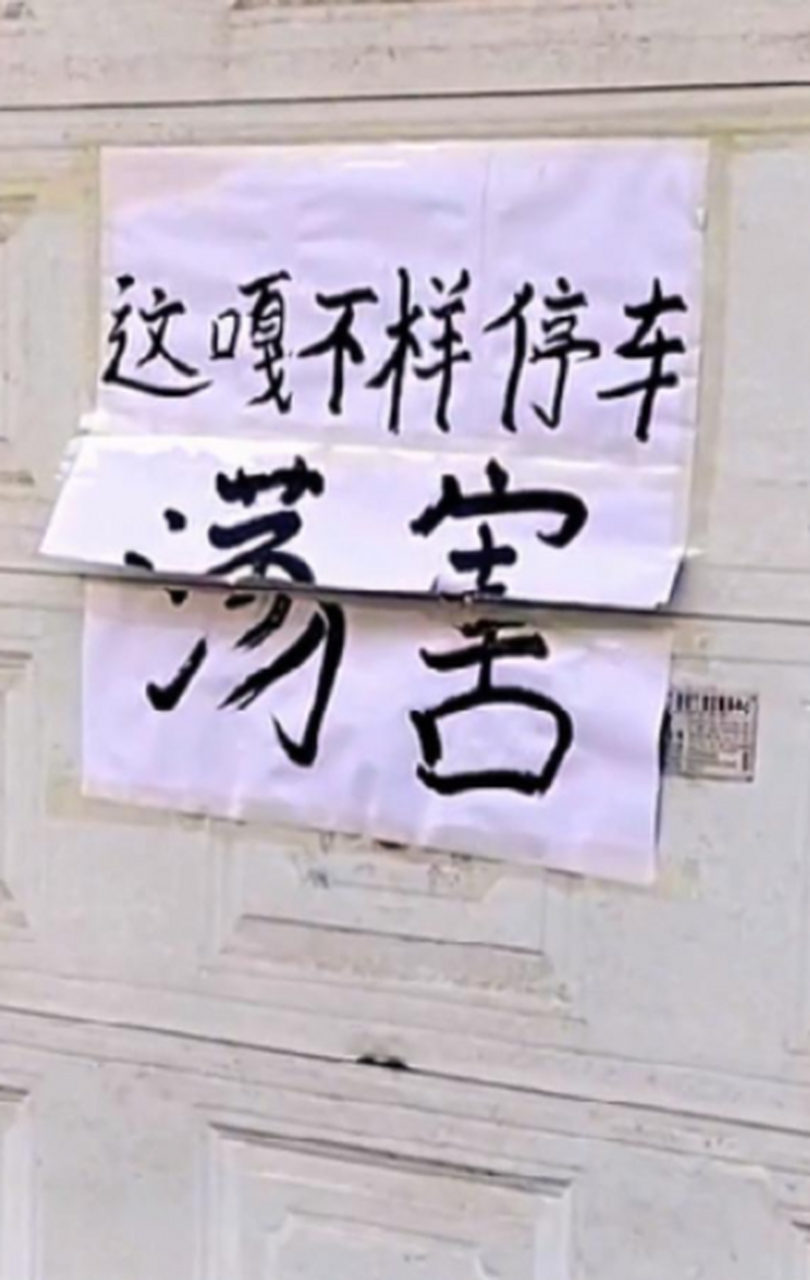 哪个好人帮我翻译一下"荡害"啥意思