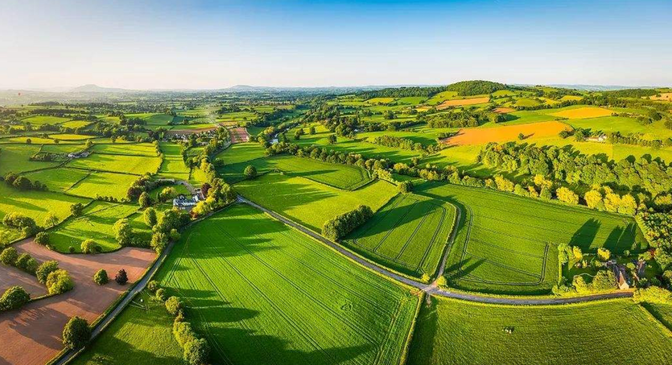 聚焦三农|农业资讯:青海省设施蔬菜总种植面积达7000公顷,绿色发展