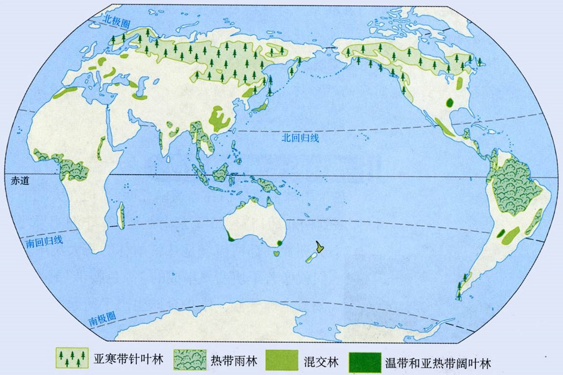 植被类型分布图 世界图片