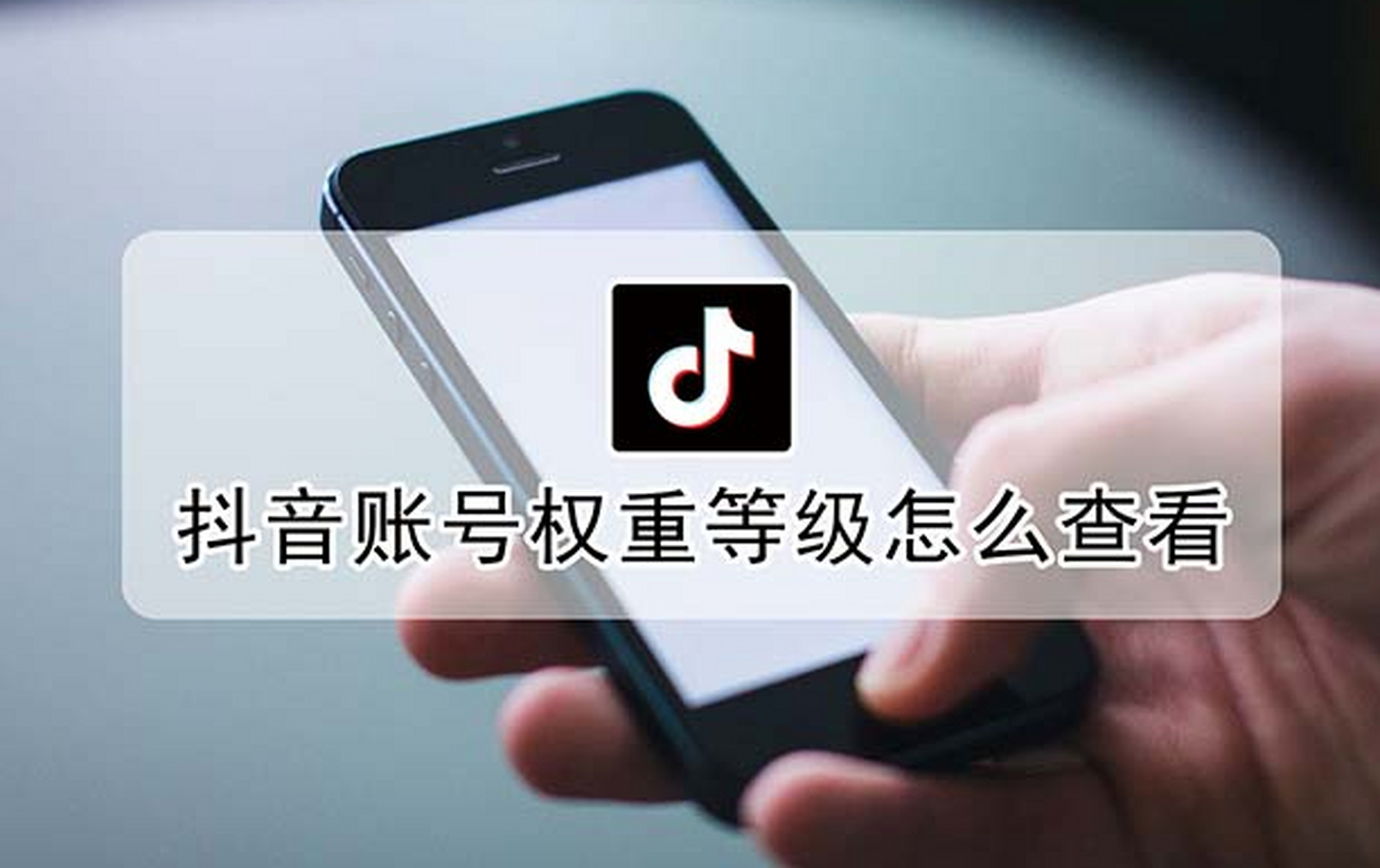 怎么查权重查询结果=怎么查权重查询结果是否正常