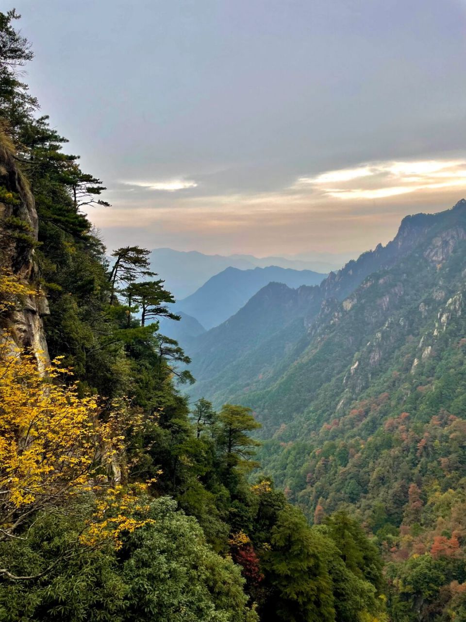 临安大明山已经层林渐染,展现出迷人的秋色.