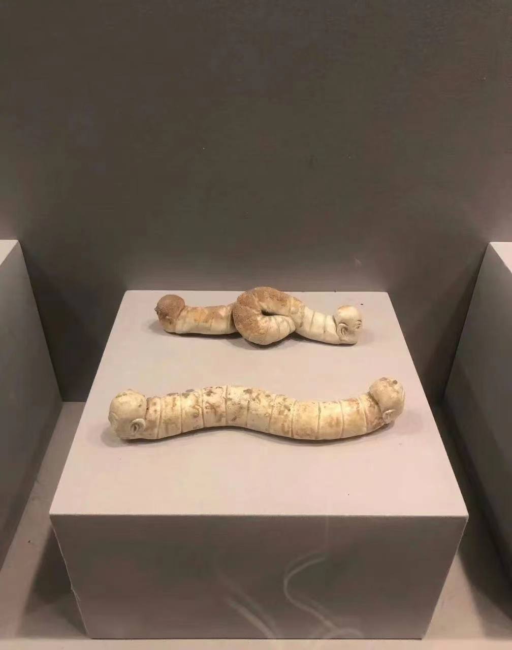 赣州市博物馆 双人首蛇身俑,也可以叫地轴,勾陈,墓龙,可能是镇墓之用