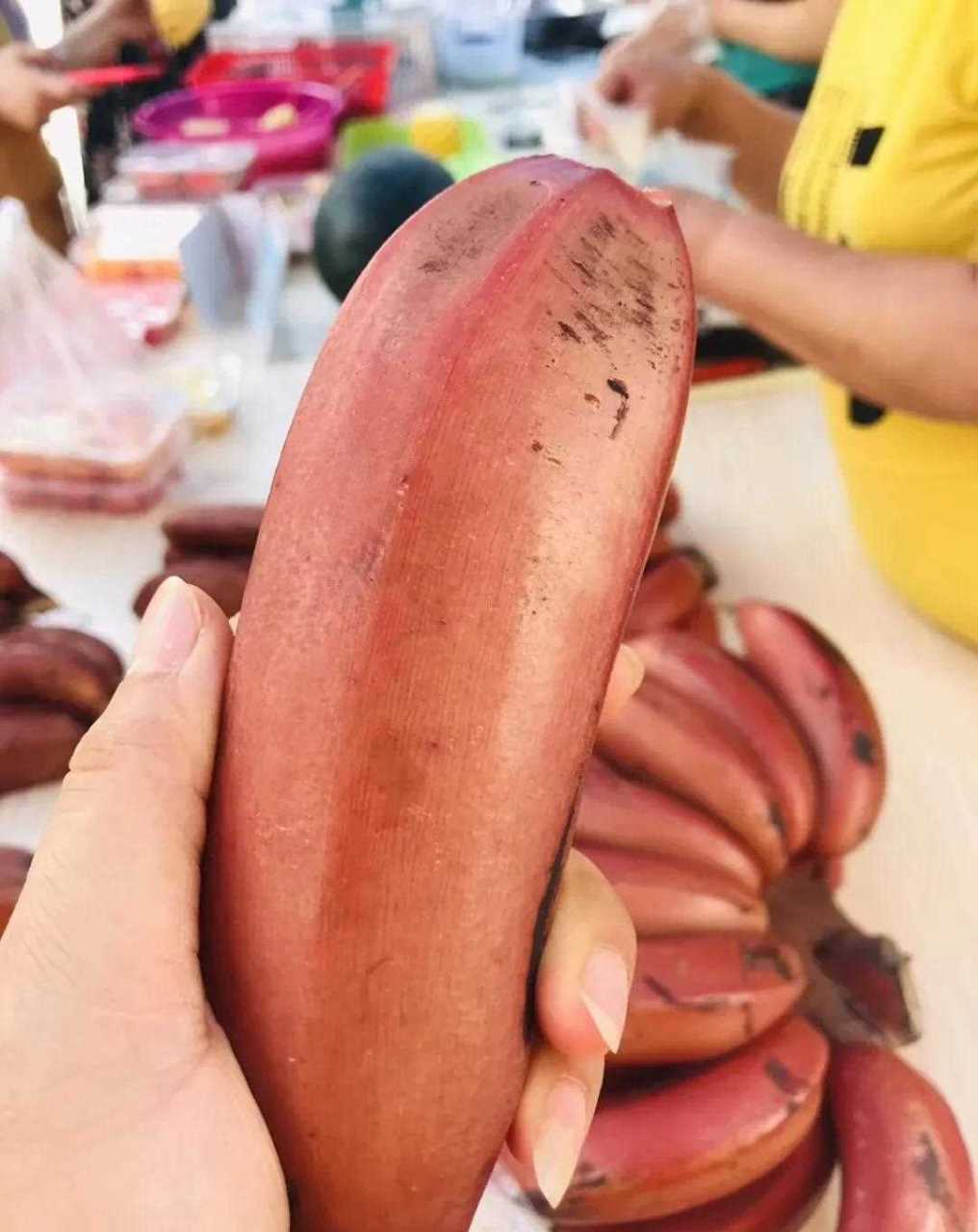 漳州特产红香蕉,红皮香蕉3年才结一次果,味道非常非常好吃,香醇软糯