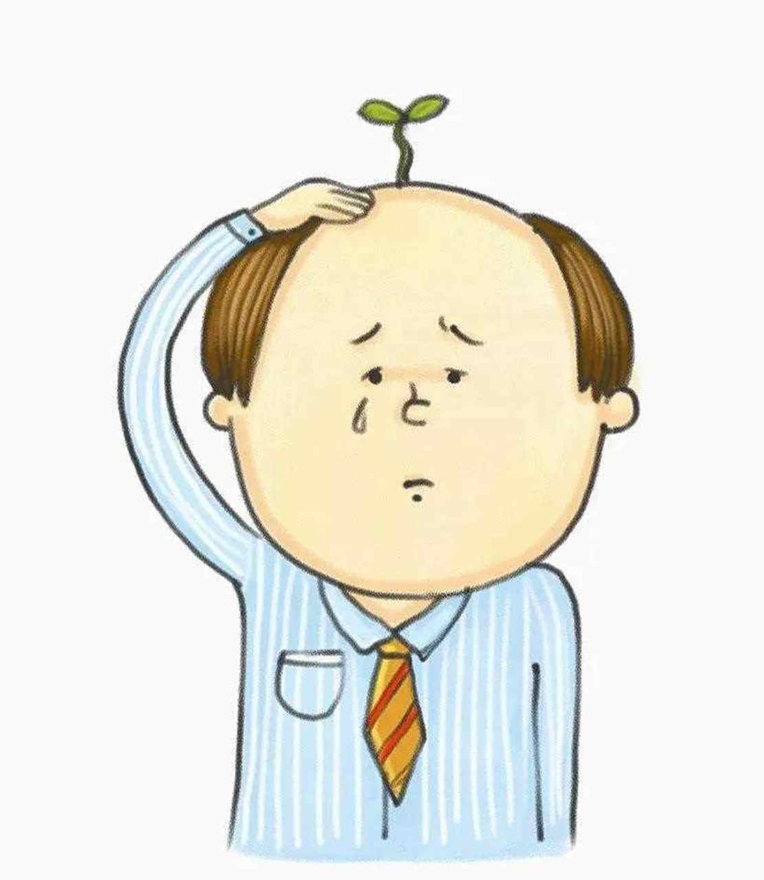 一般男人多少岁谢顶啊?我哥今年43岁,是中学老师