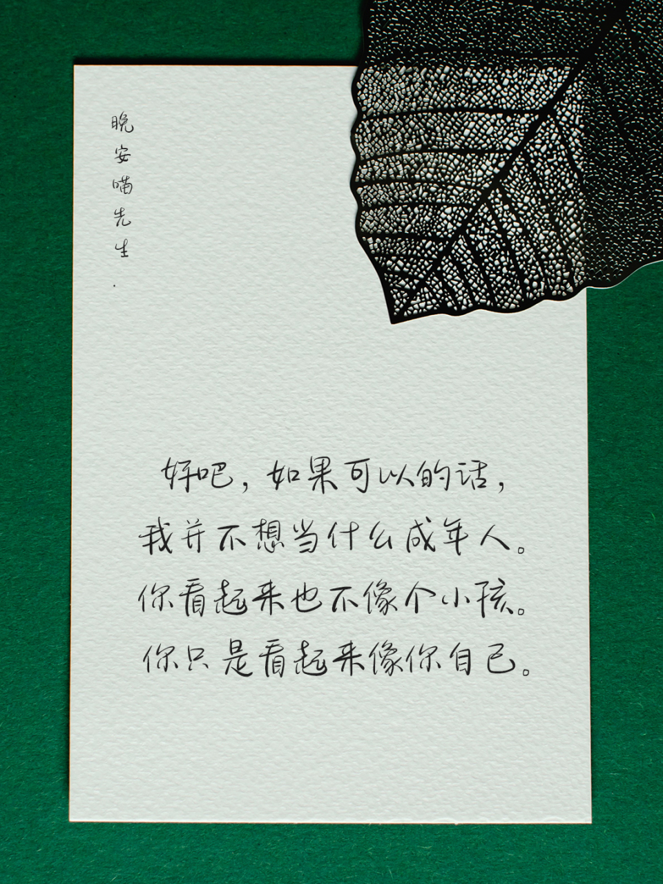 「金句摘抄」《摆渡人》中那些值得思考和摘抄的文案.