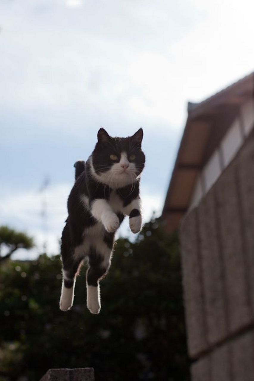 人生的三大不幸是:接连不断的极端贫困;使希望破灭的极端忧郁;使灵魂