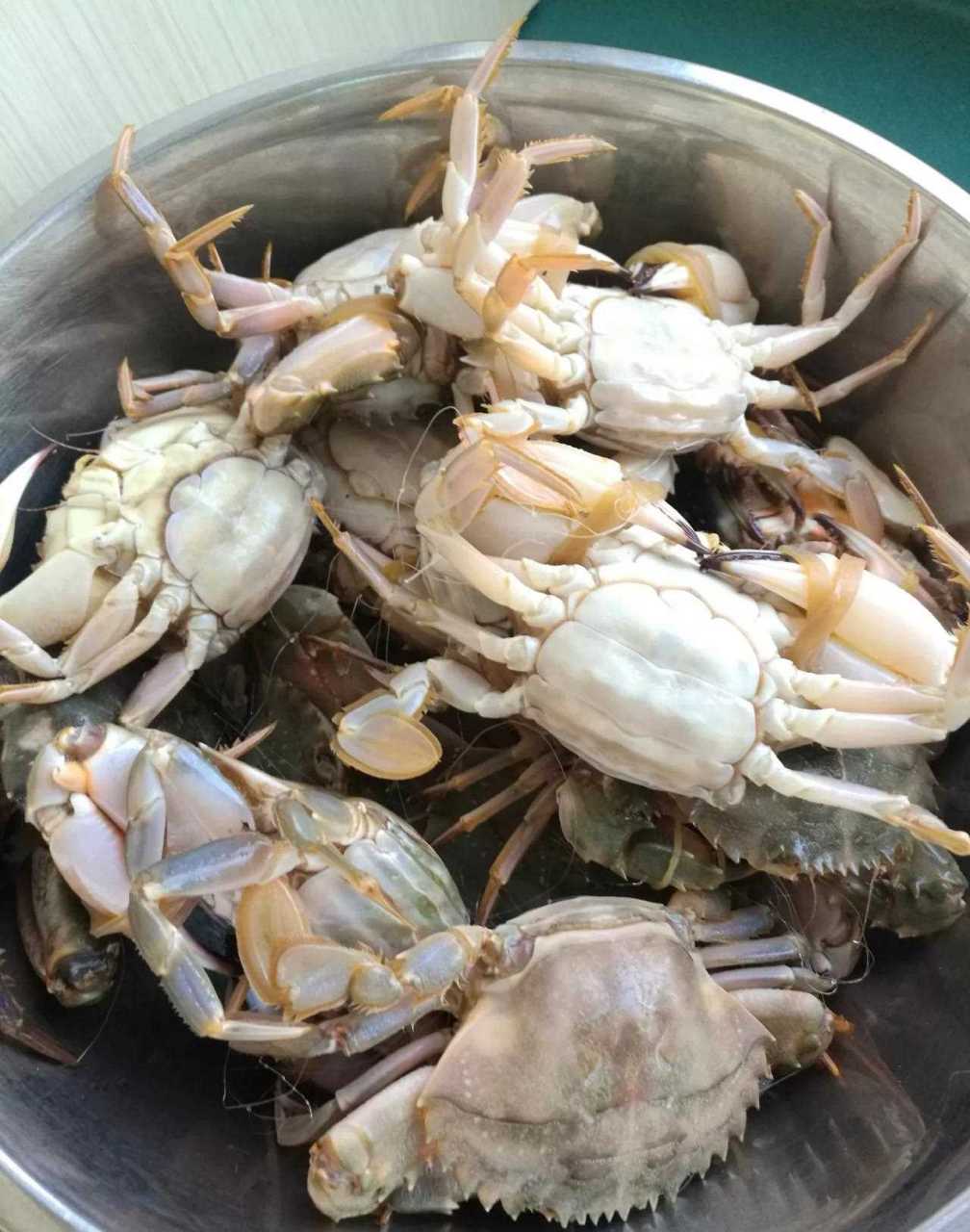 今天买了几斤铜蟹,虽然个头不大,却是我这两年中吃到过的最肥的,蟹肉