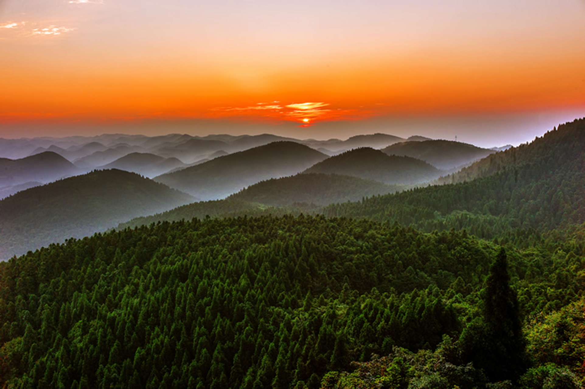 武陵山森林公园,重庆版暮光森林,犹如波涛阵阵,遮天蔽日的森林,大片的