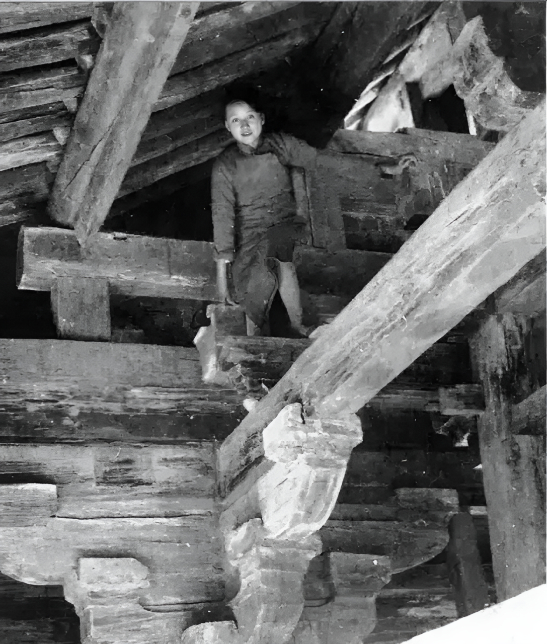 有一次,杨澜看着林徽因高踩房梁的照片,奇怪地问起林徽因的儿子梁从诫