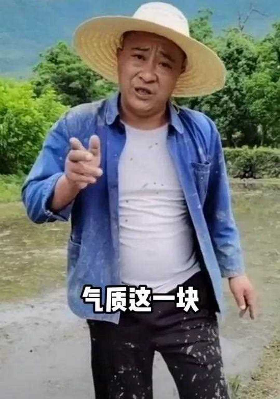 赵四气质这一块图片