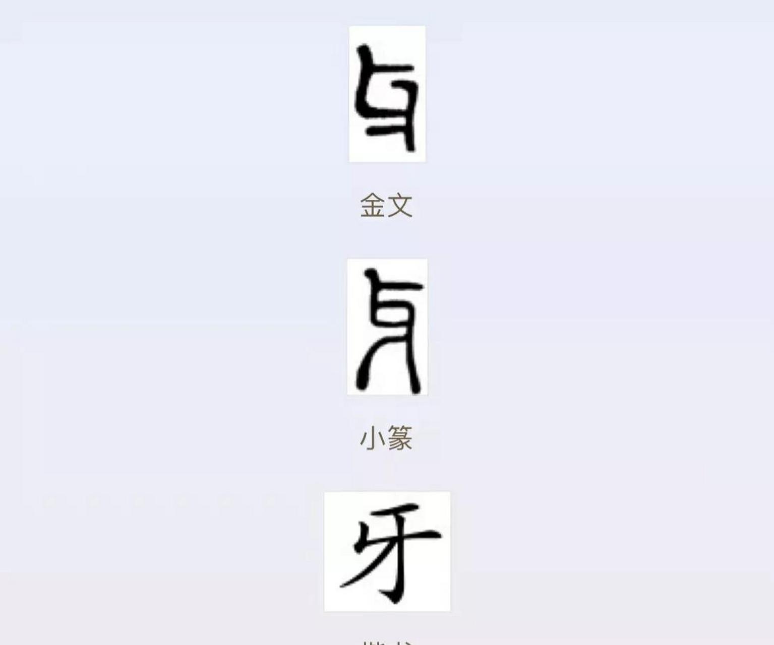 牙"是个象形字. 金文的形体像上下交错对合的两枚兽牙的形状.