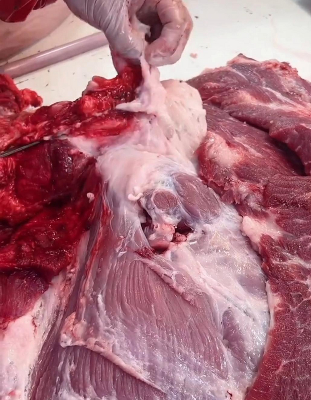 据说,猪血脖子上的这块肉,都卖给包子铺了,不知道是真是假