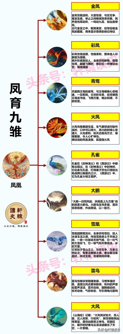 凤育九雏图片介绍图片