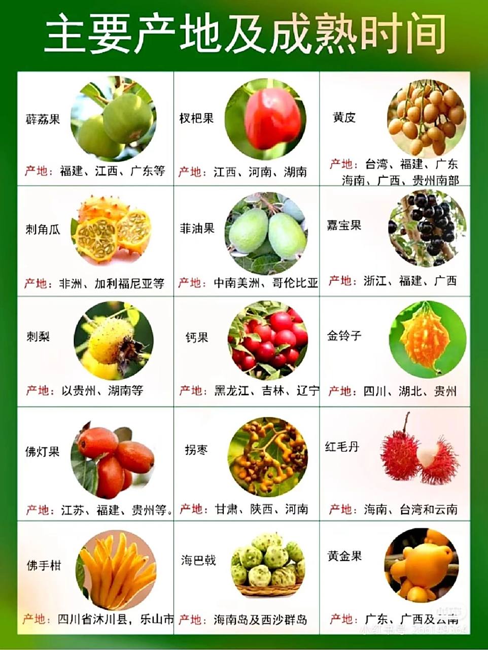 三十种罕见水果你吃过几样?