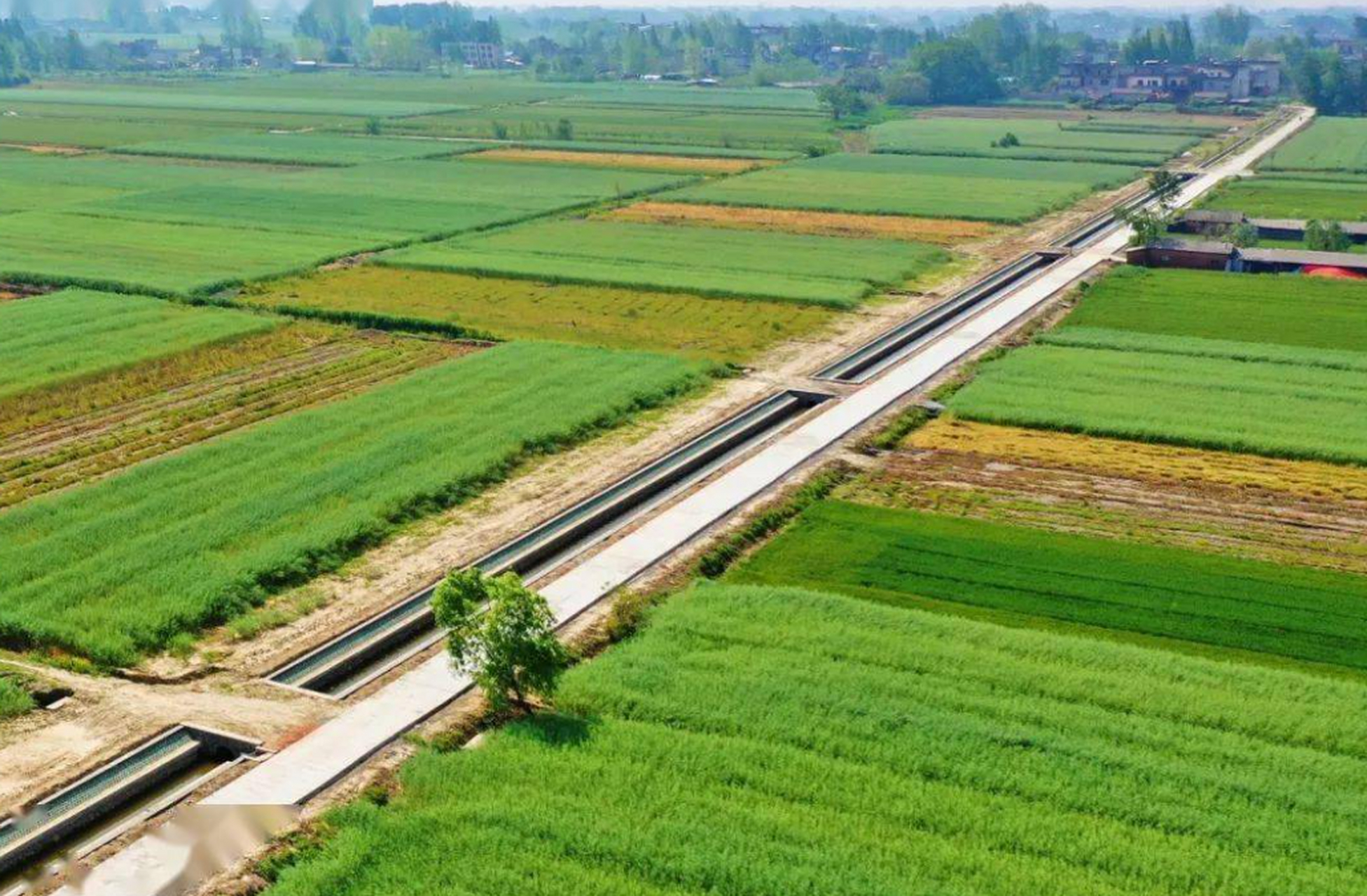 【高标准农田主要建些什么,怎么组织实施,效果怎么样[疑问]】 主要