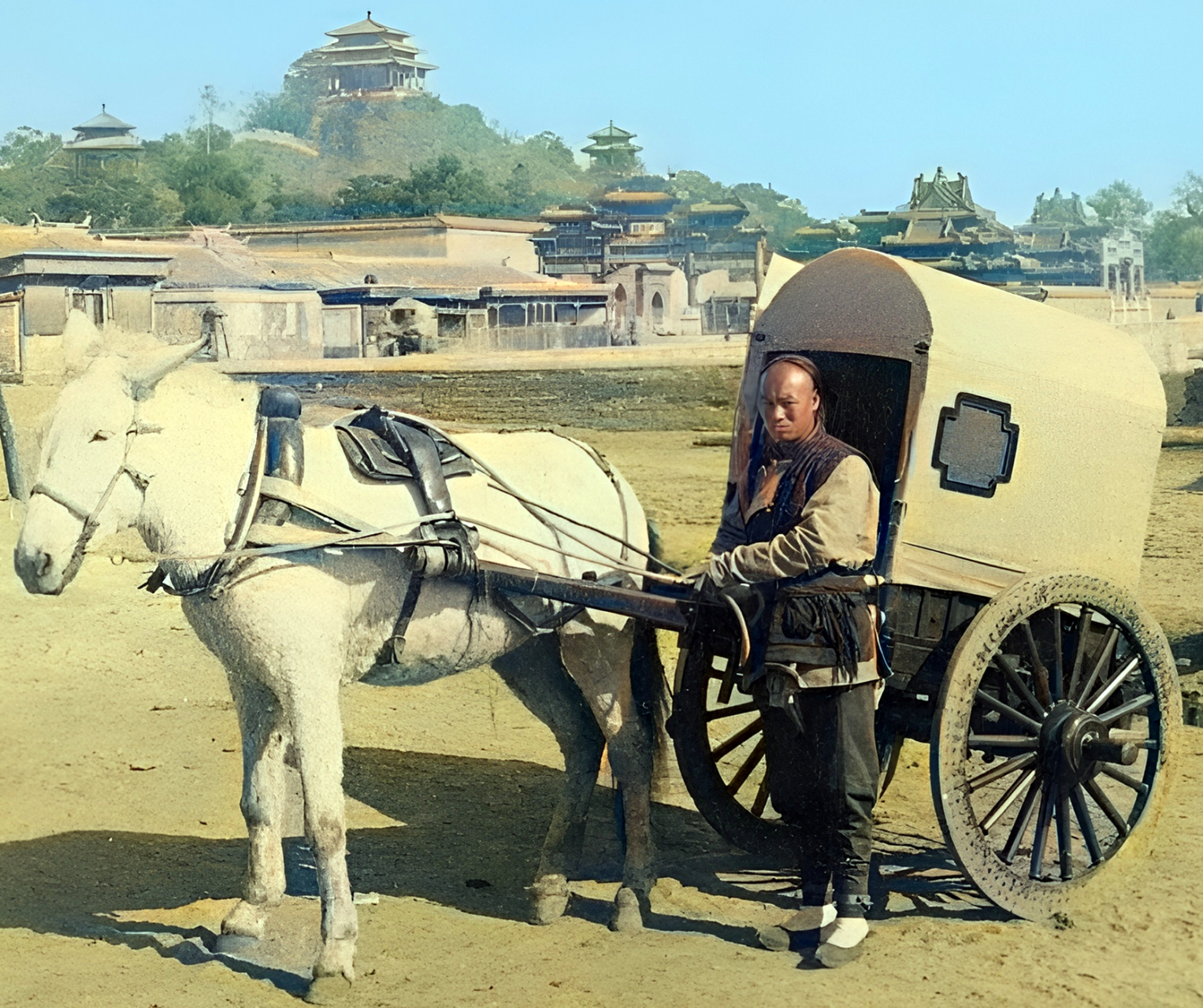 一名脚夫赶着骡子,一男子坐在轿子里