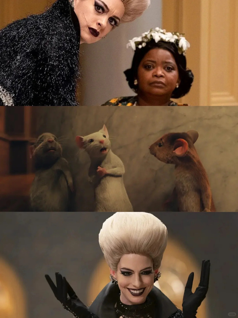 电影名:女巫 导演: 罗伯特·泽米吉斯 主演: 安妮·海瑟薇 / 奥克塔