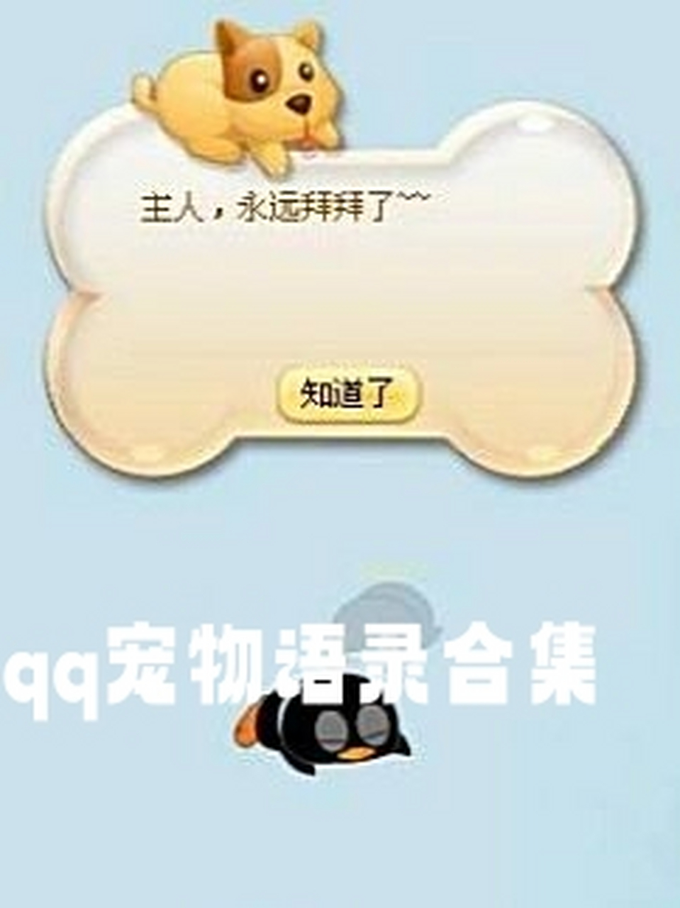 qq空间宠物升级样子=的空间宠物更新后就不显示了