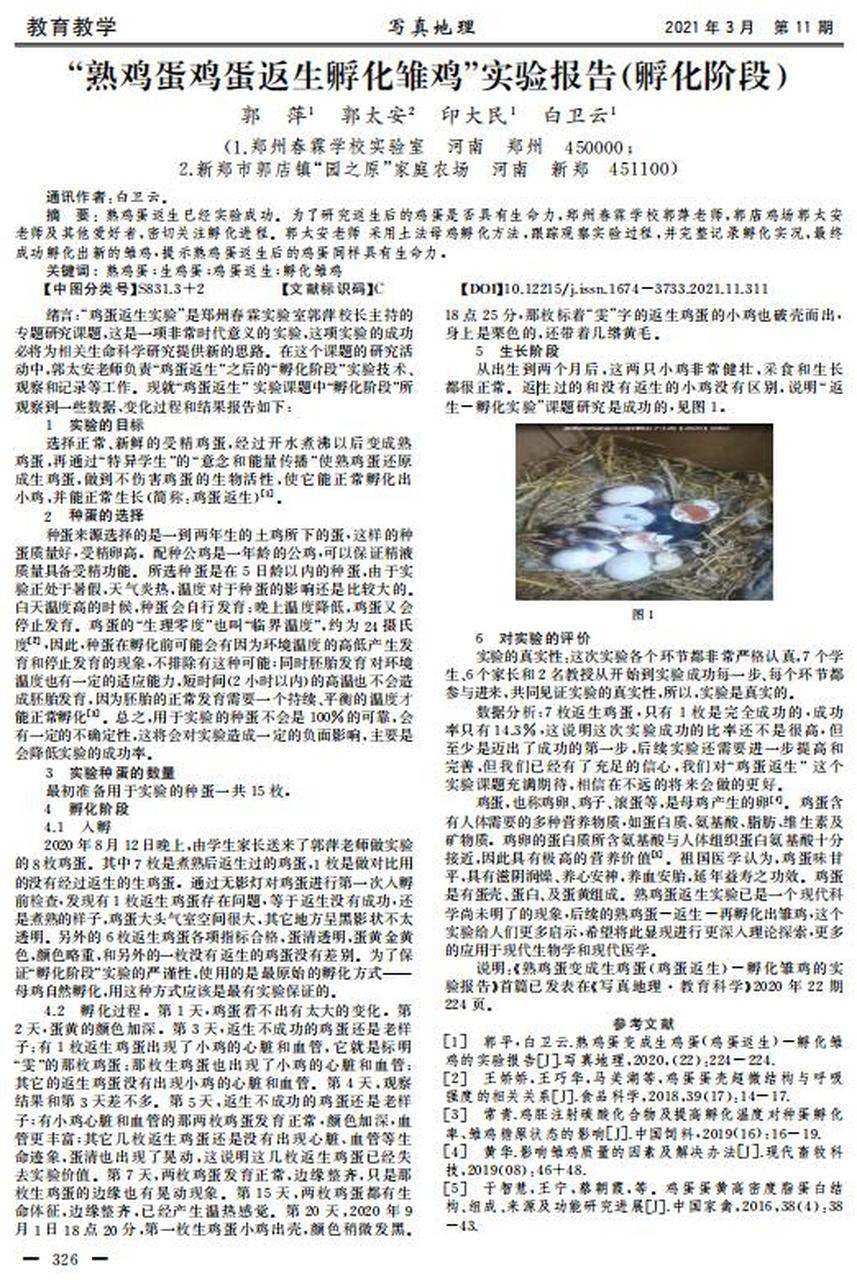 熟鸡蛋返生,孵小鸡,听上去不可思议,但郑州春霖职业培训学校校长郭平