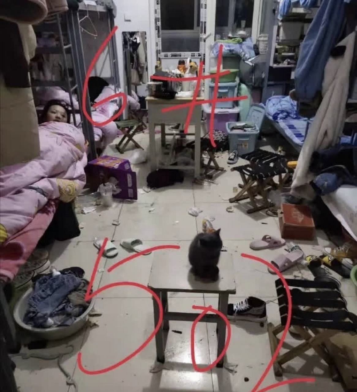 你还好奇女生的袜子臭不臭吗?[捂脸]