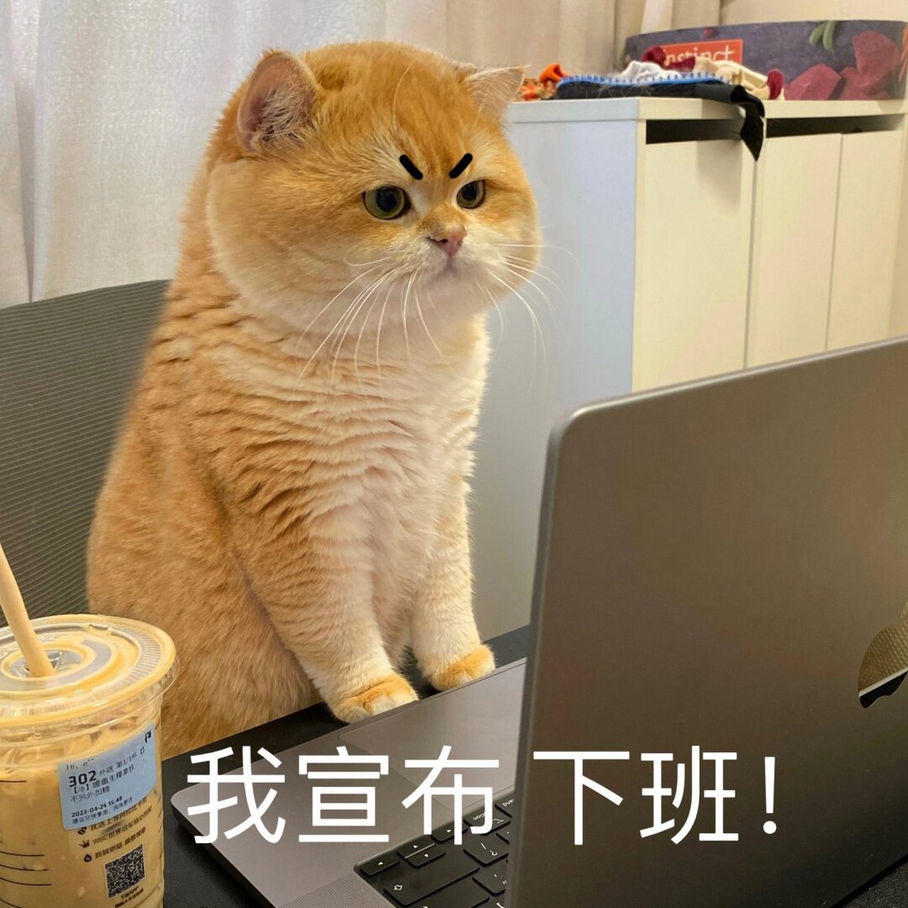 推荐一款摸鱼冰吸生椰,清清凉凉提神醒脑,丘丘弹