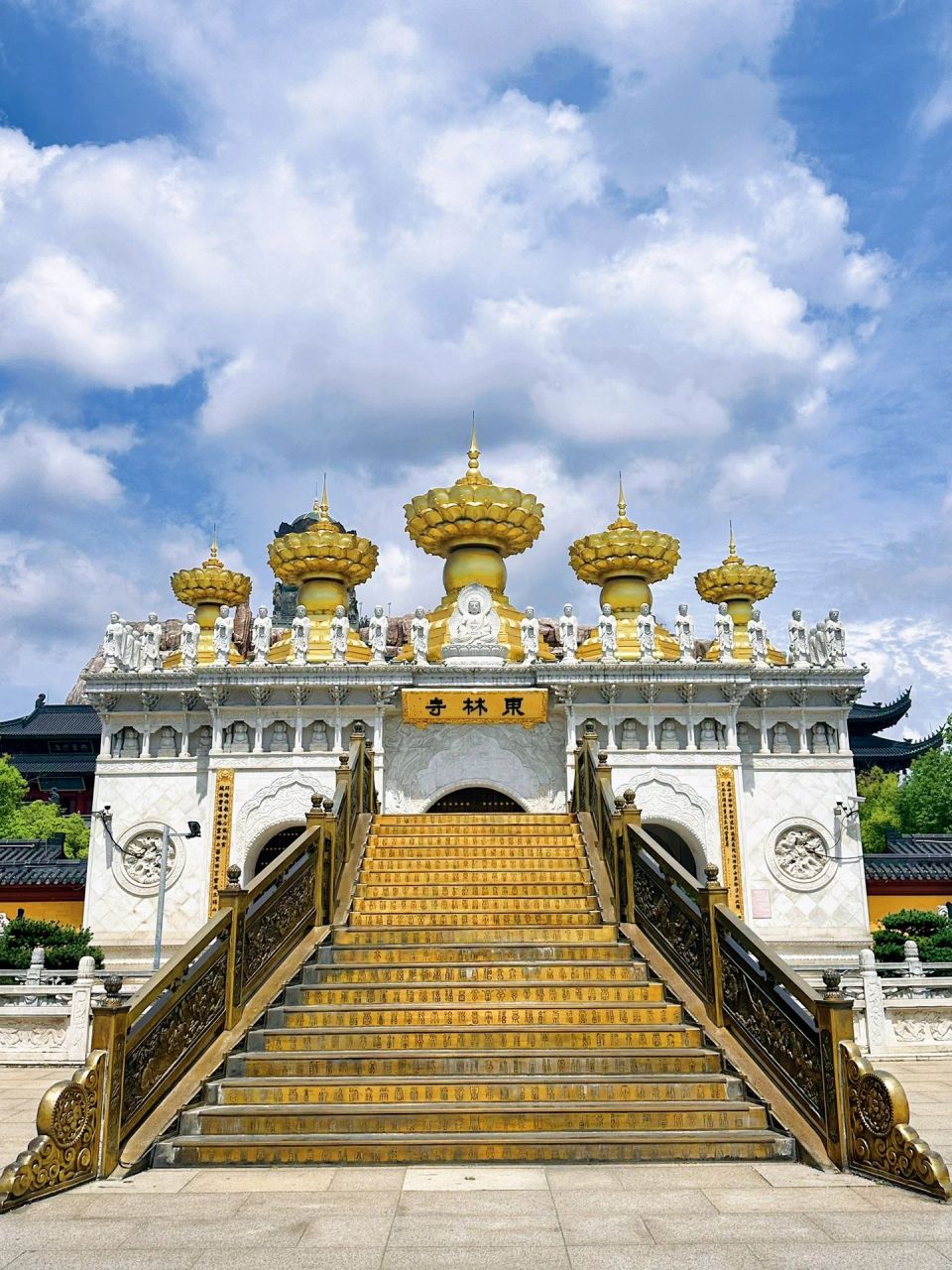 上海东林寺6015魔幻震撼的百年古寺73 |金山真的是个宝藏 藕遇