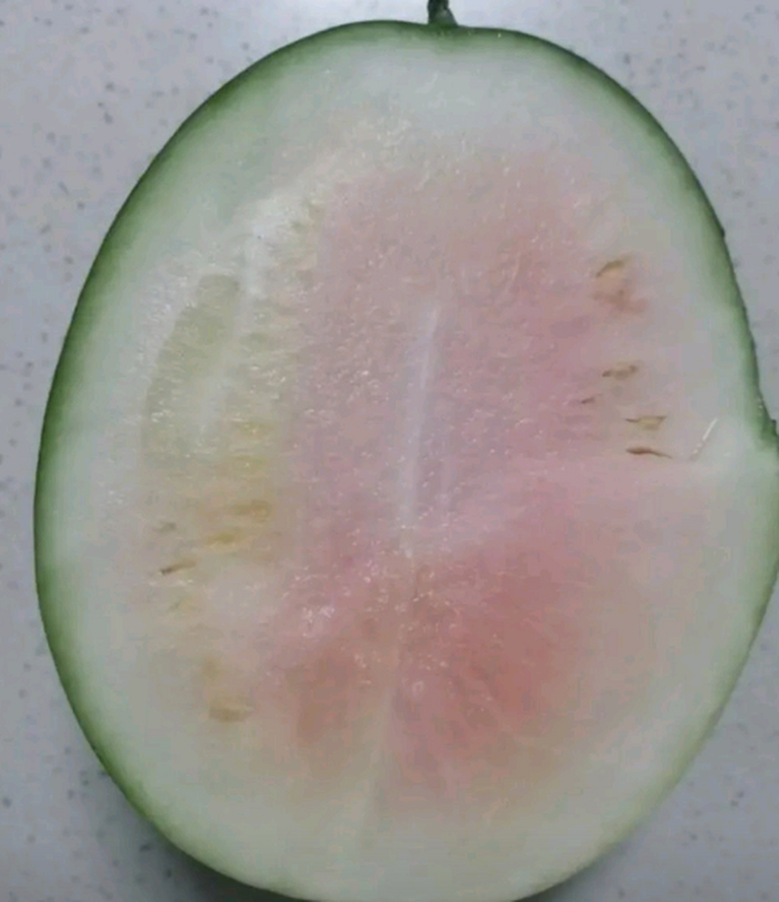 不是说无籽西瓜很好吃吗,怎么没熟啊