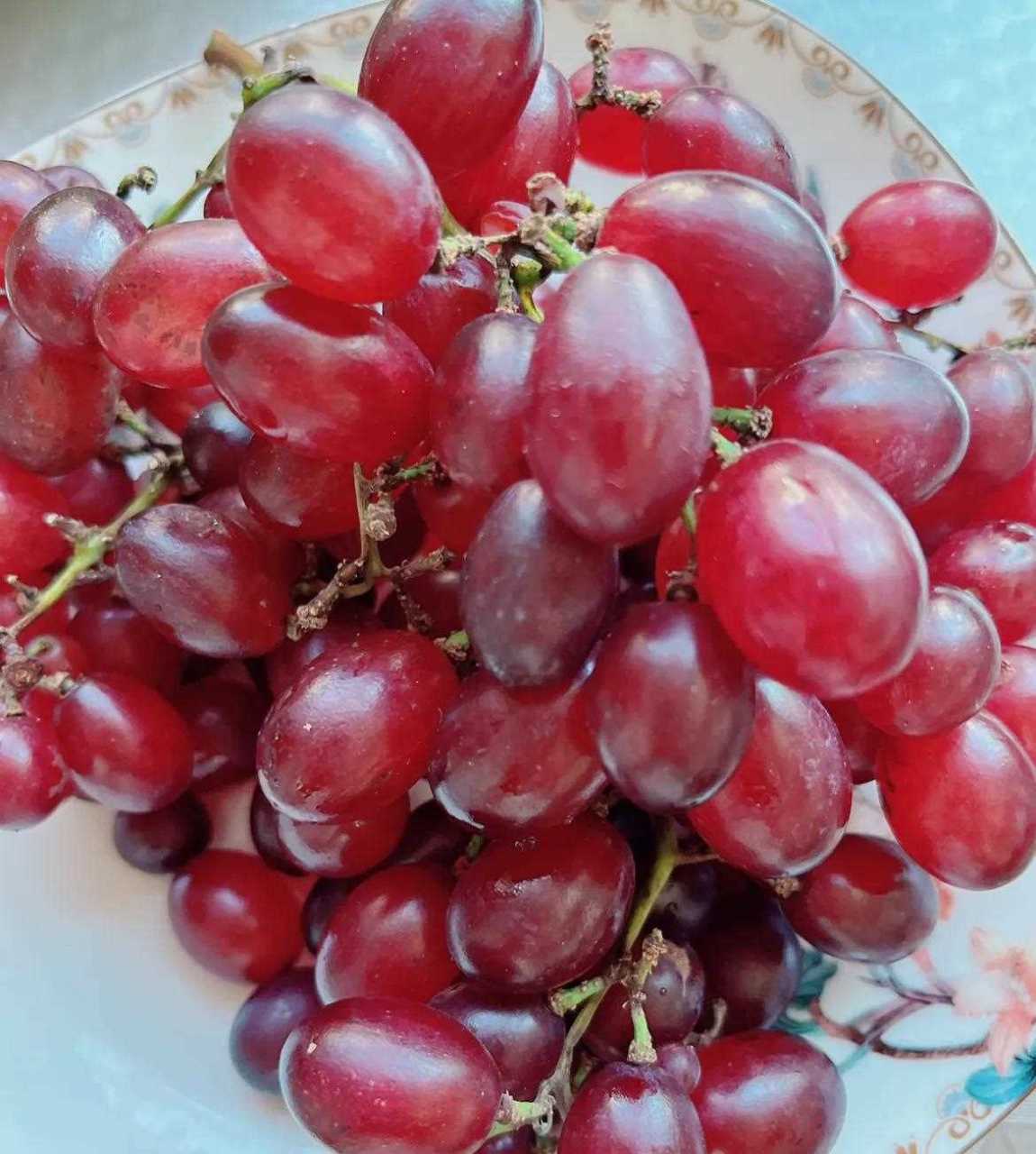 [友军] 晒一晒闺蜜给的红宝石葡萄,其实卖的红宝石葡萄也是很紧致的