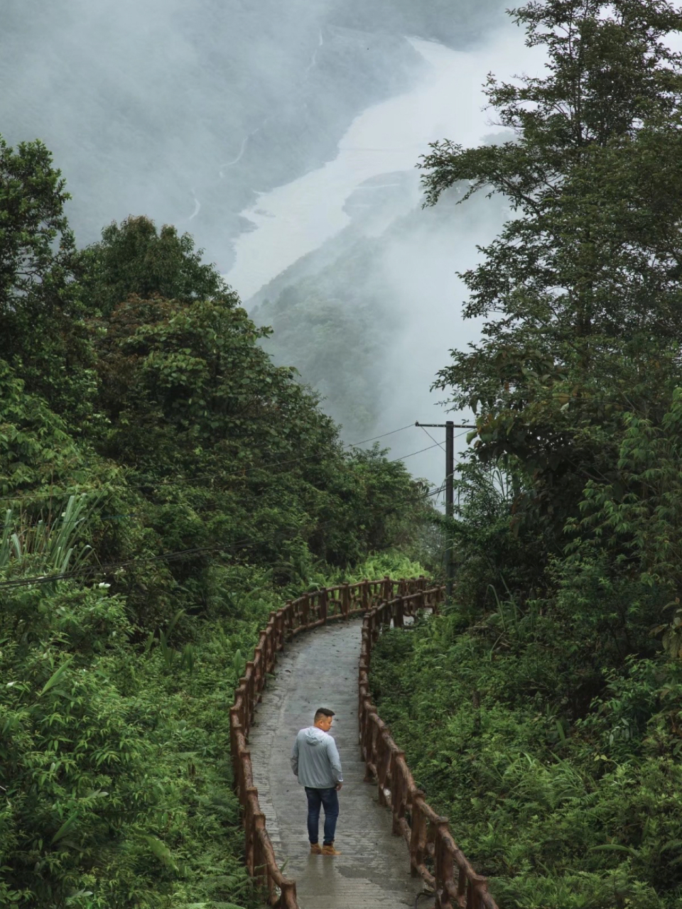 墨脱蚂蝗山图片