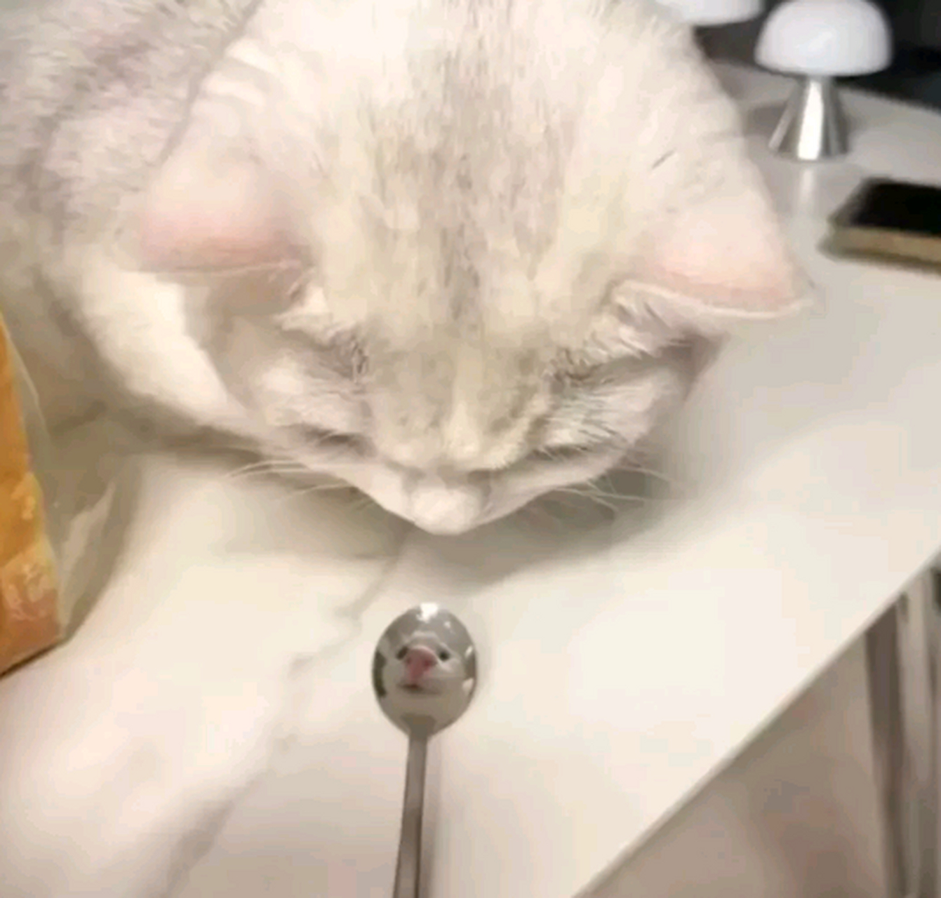 呔,照妖镜,妖怪~[笑哭]#搞笑