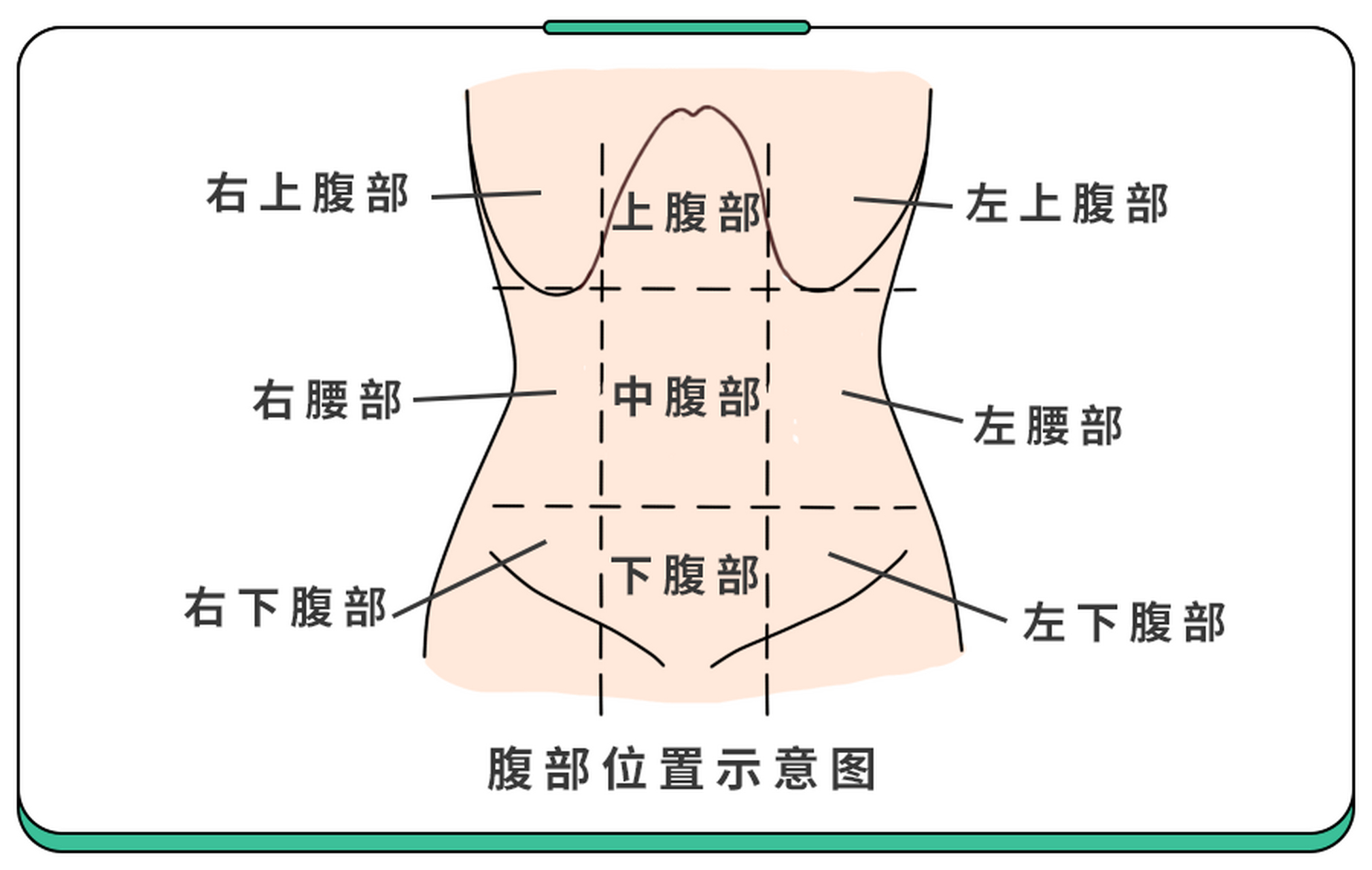 腹部疼痛区域图图片