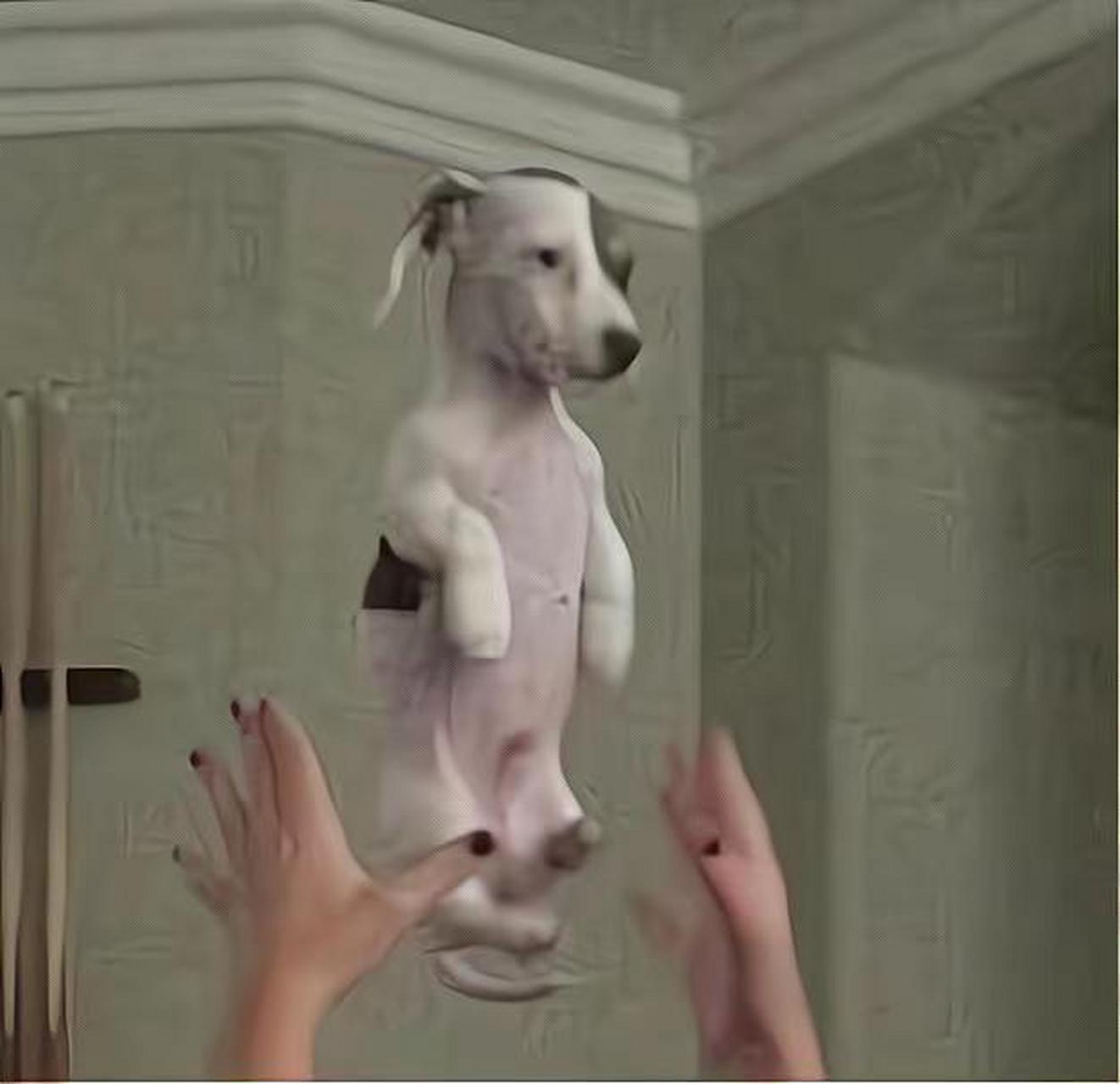 狗子:听我说,谢谢你,因为有你,温暖了四季