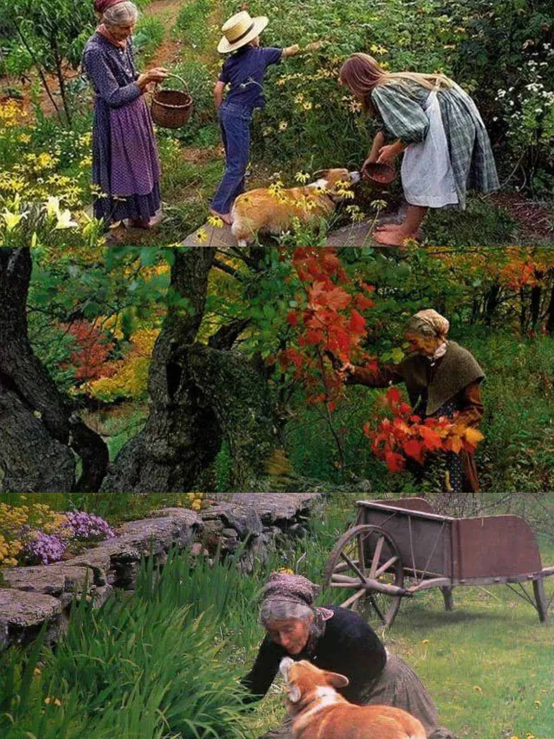 封神的纪录片所有人 都给我冲 《塔莎杜朵,一个人的田园生活》 更多的