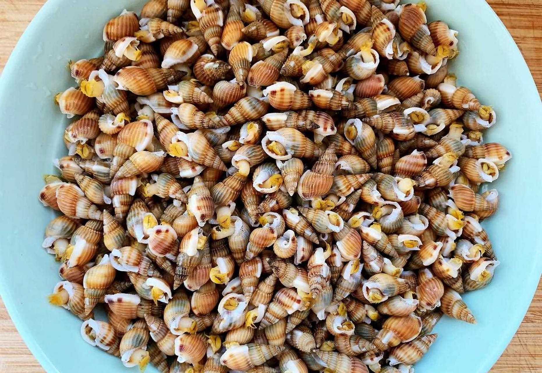 以前烂大街的东西,几块钱一斤也没人要,大连人还是认香波螺