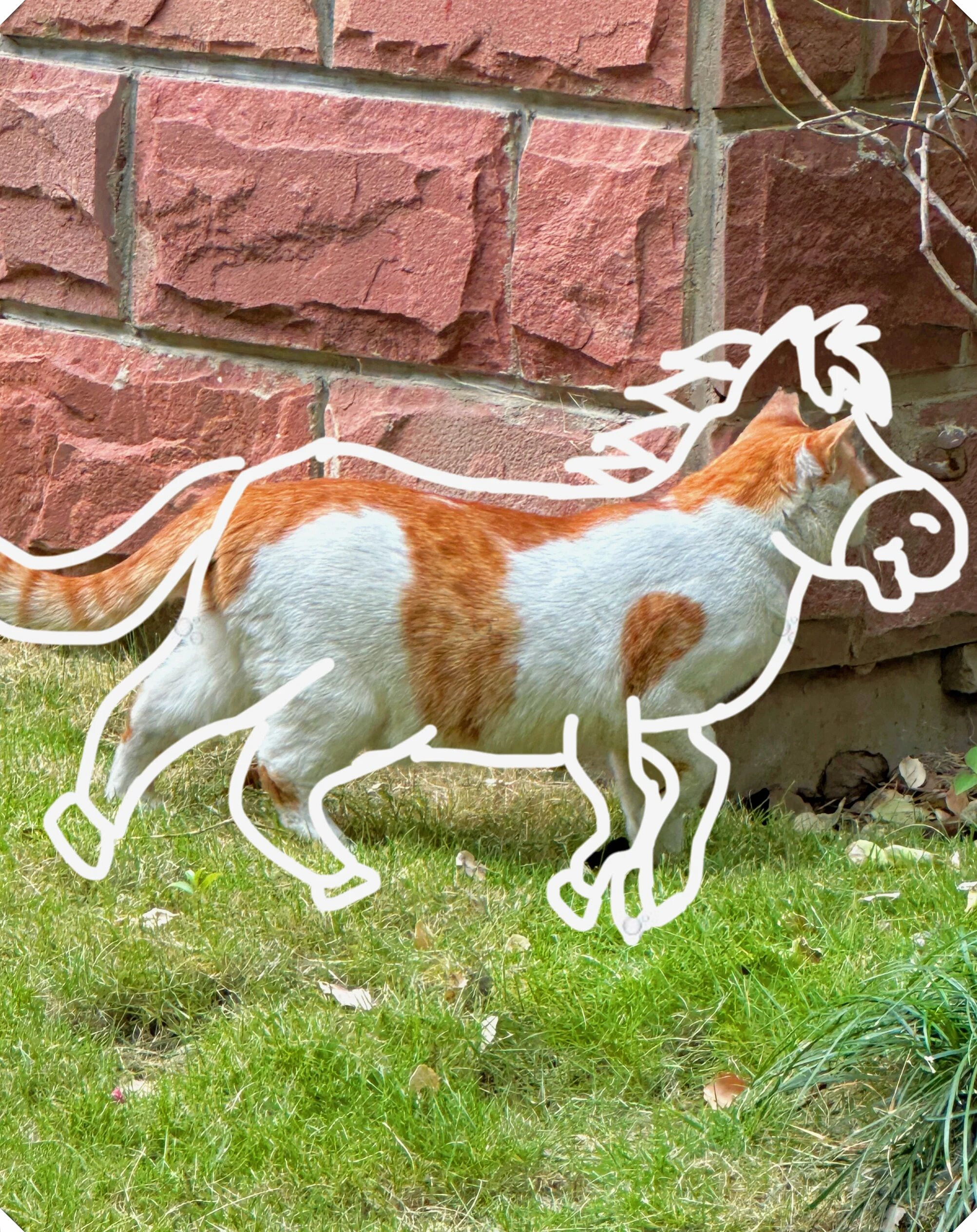 宝宝你长得像是一匹小矮脚马  它的可爱模样总能给我们带来无尽的治愈