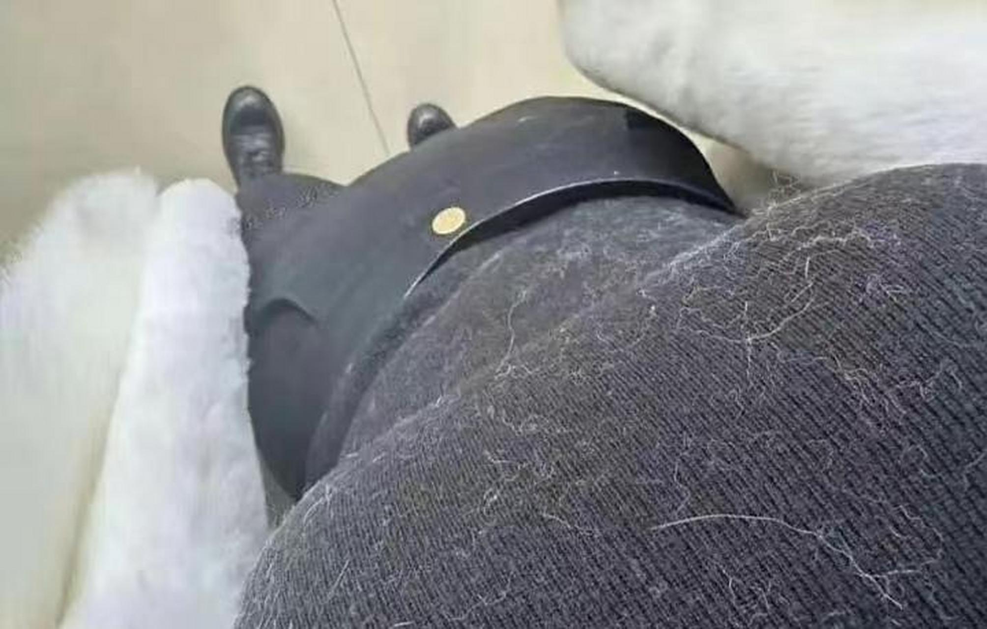 网友:这外套还能要吗,身上都是毛#搞笑趣味图