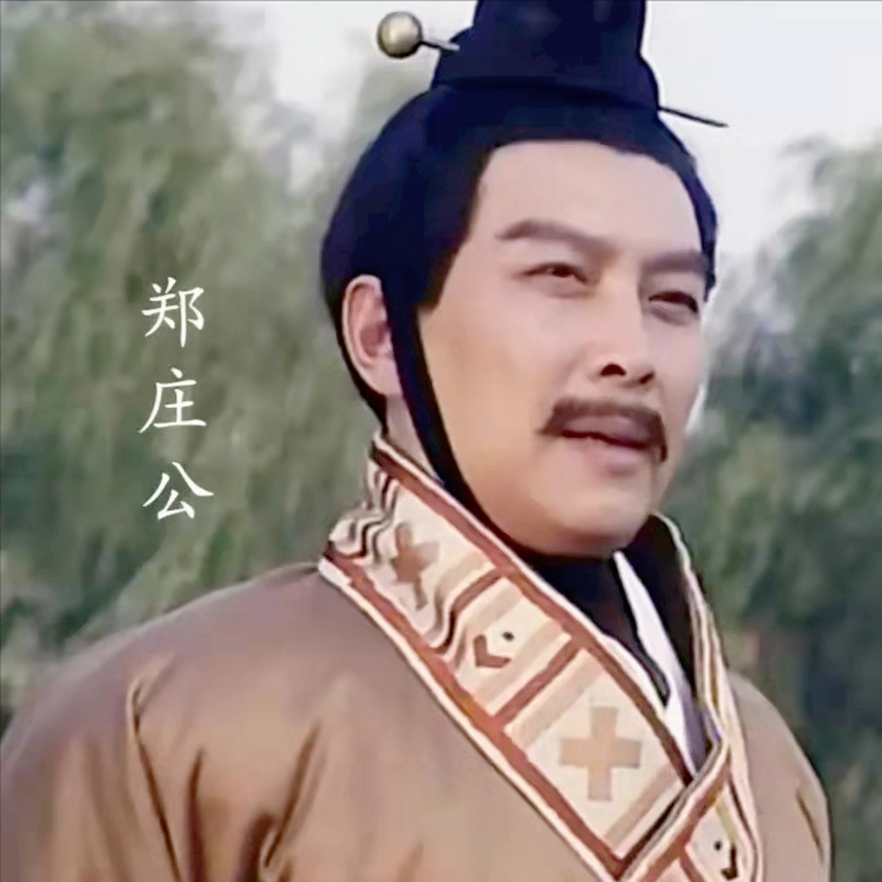 母亲爱弟弟不爱我,郑庄公说,这体验我有发言权