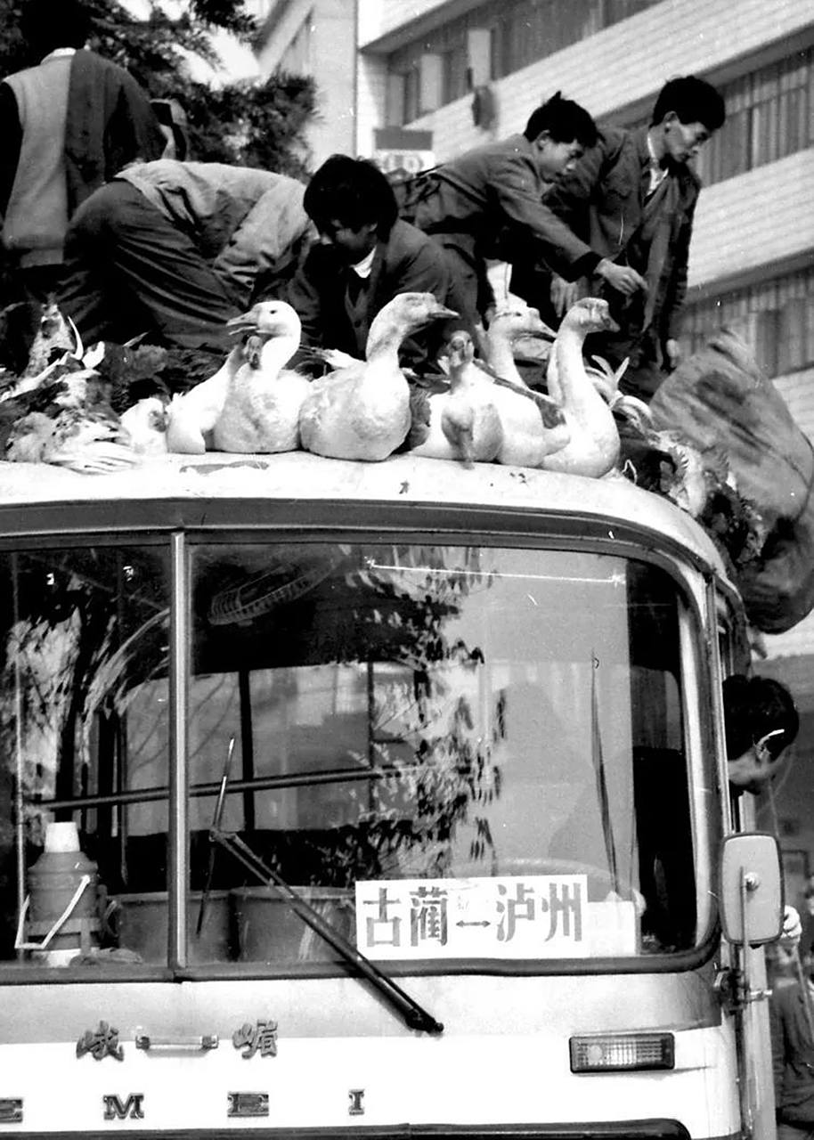 罕见的老照片,贯穿于1990年代的"气包车",曾是泸州城市道路中一抹令人