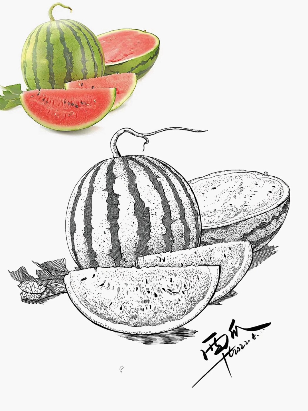 水果写生合集线描速写素材分享