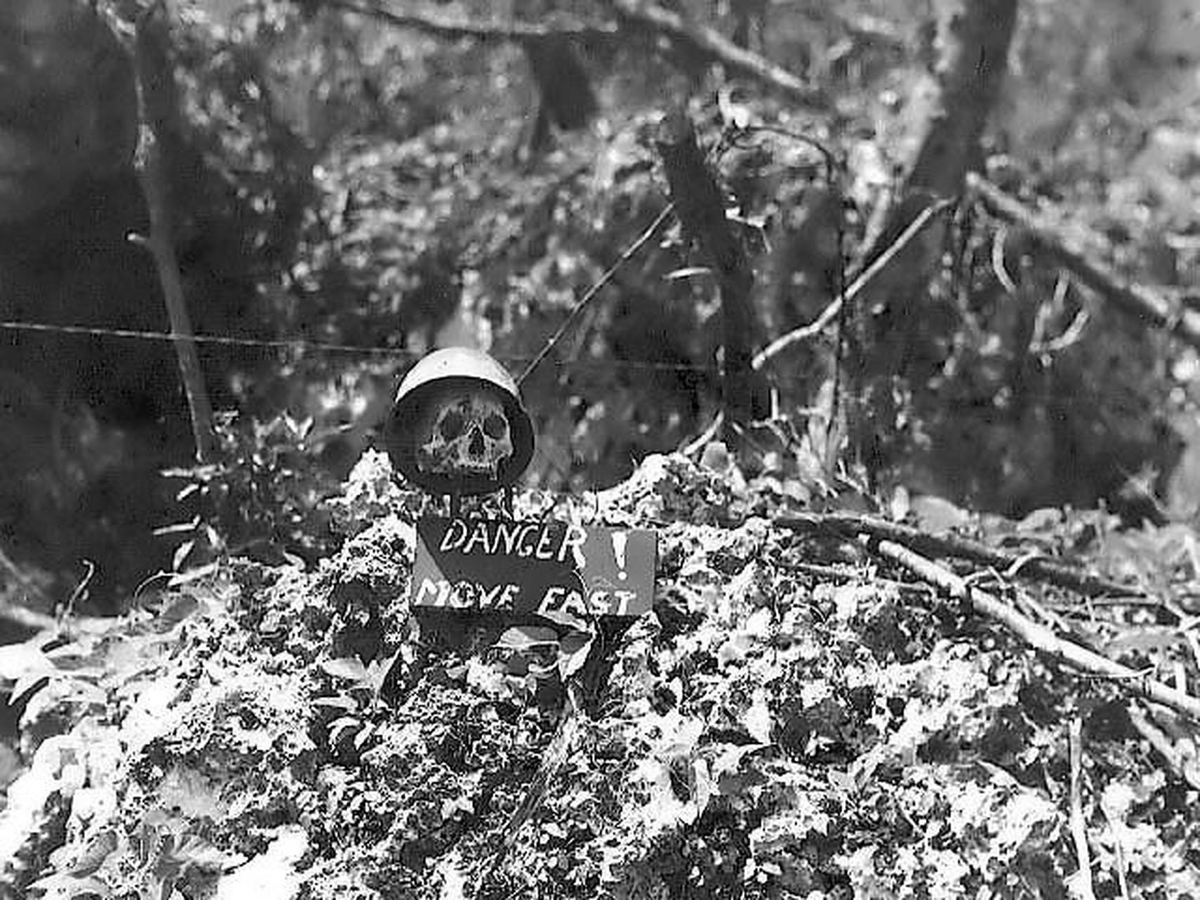 1944年的二战期间,贝里琉岛(peleliu)战役期间,前线一个摆放在骷髅