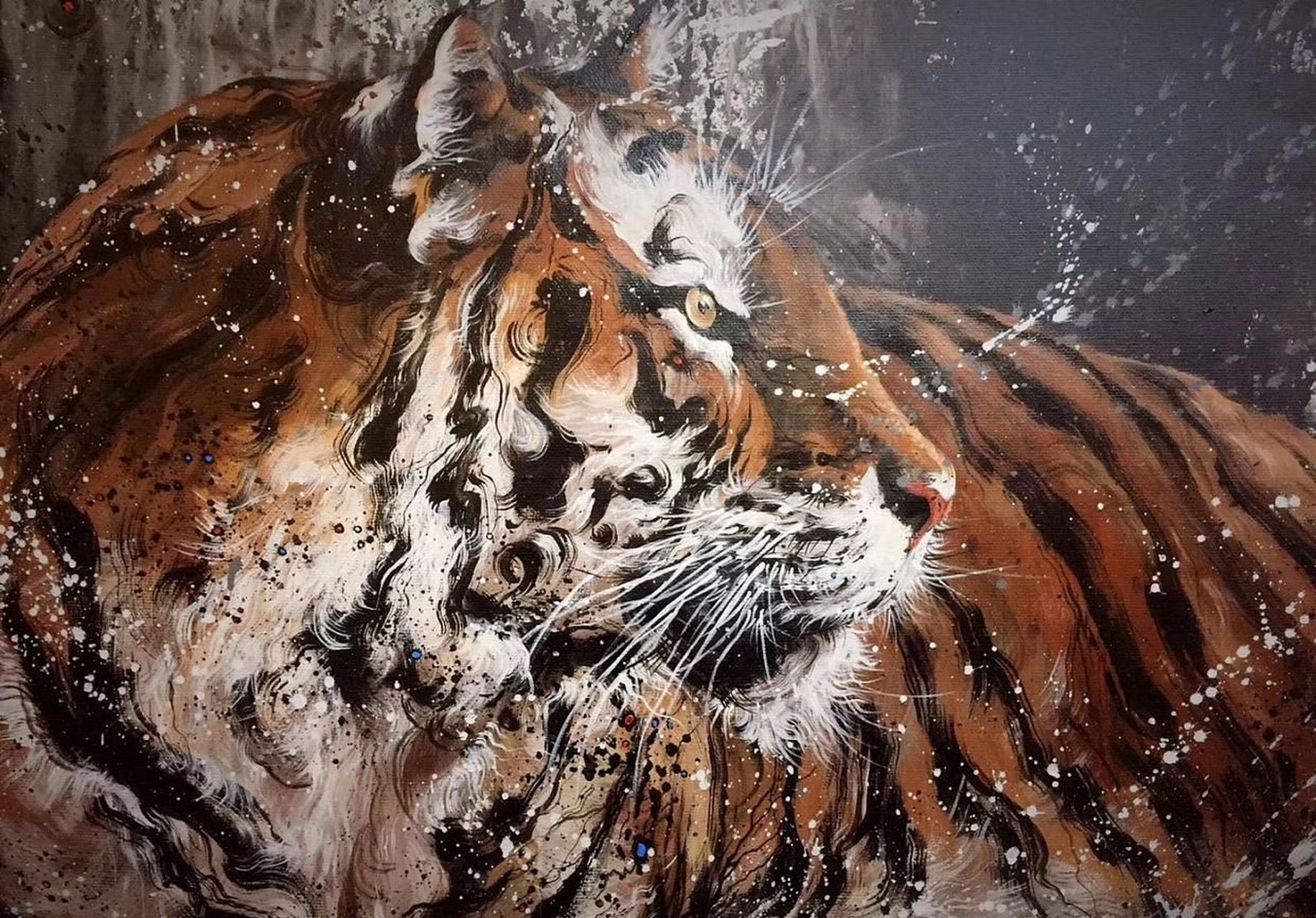 重彩泼墨老虎欣赏