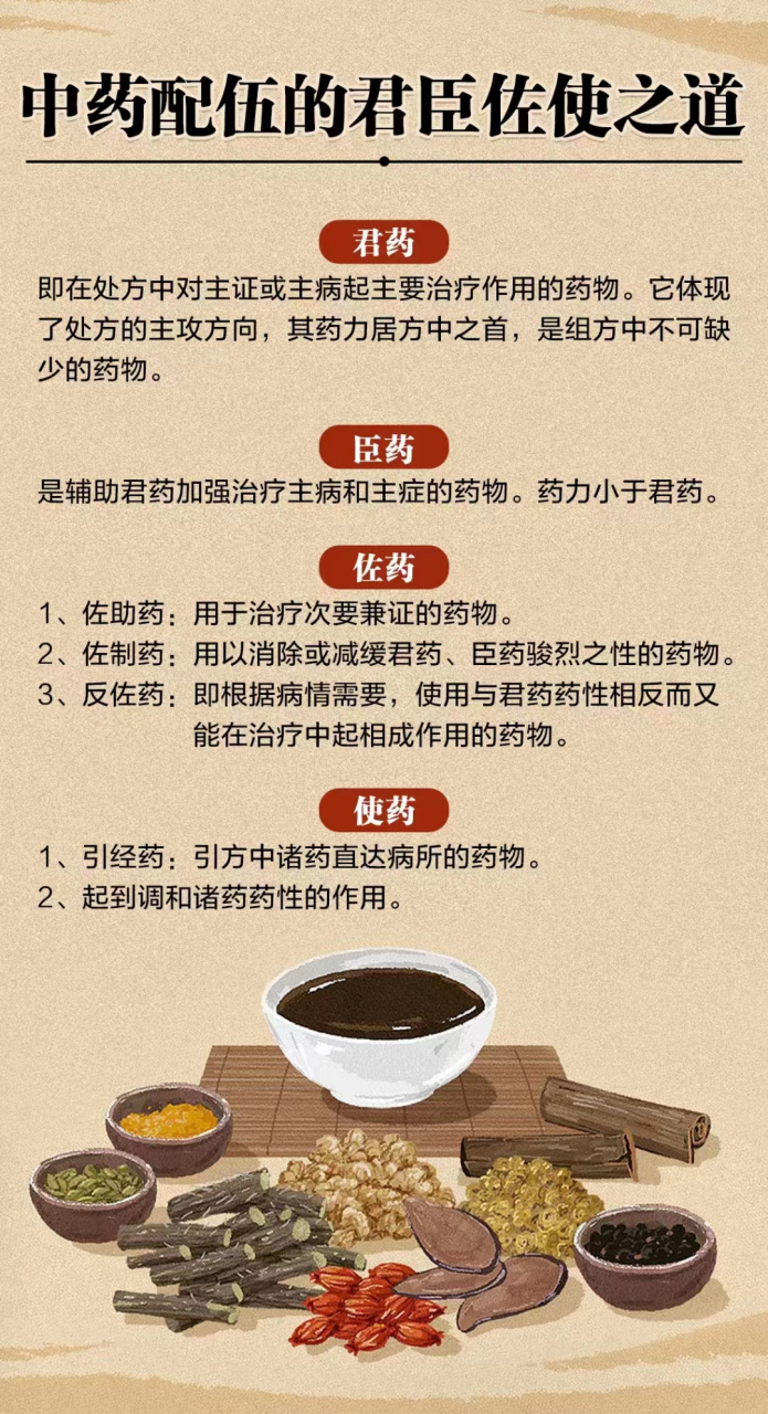 很多人忽略了这一点!  君臣佐使是中医学方剂配伍的的专有名词.