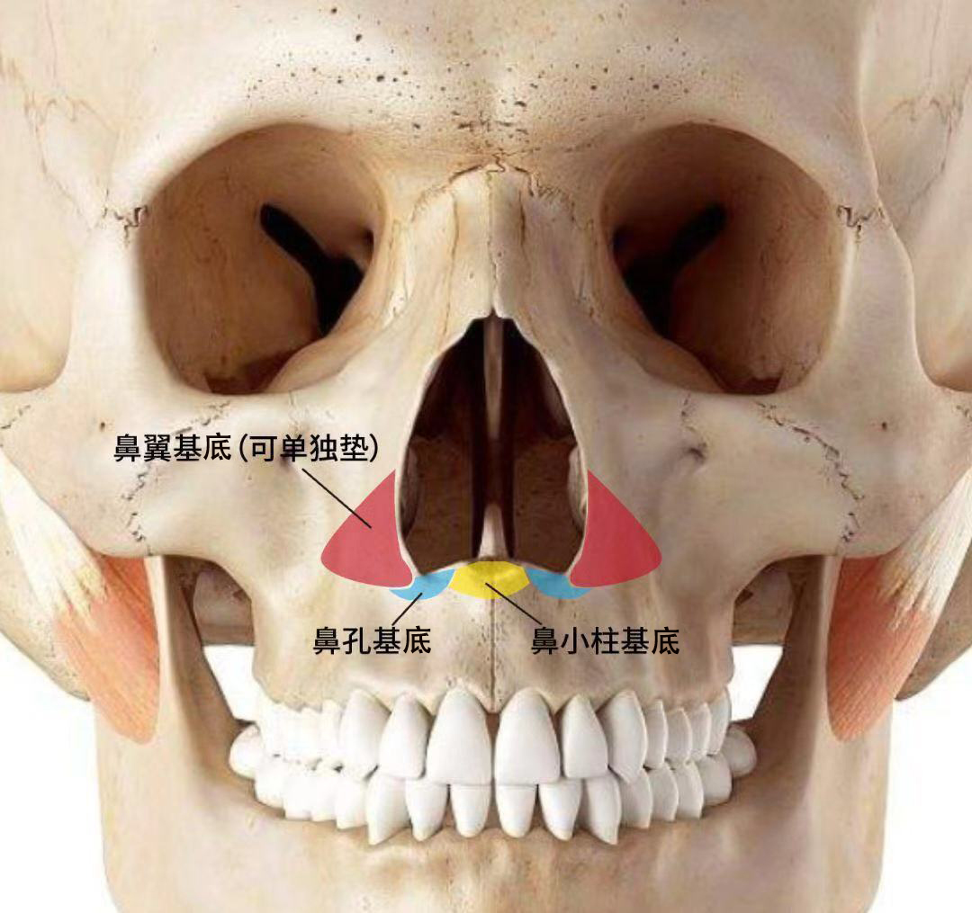 鼻基底填充,真的会抬高鼻尖吗?听听三甲医生说出大实话!